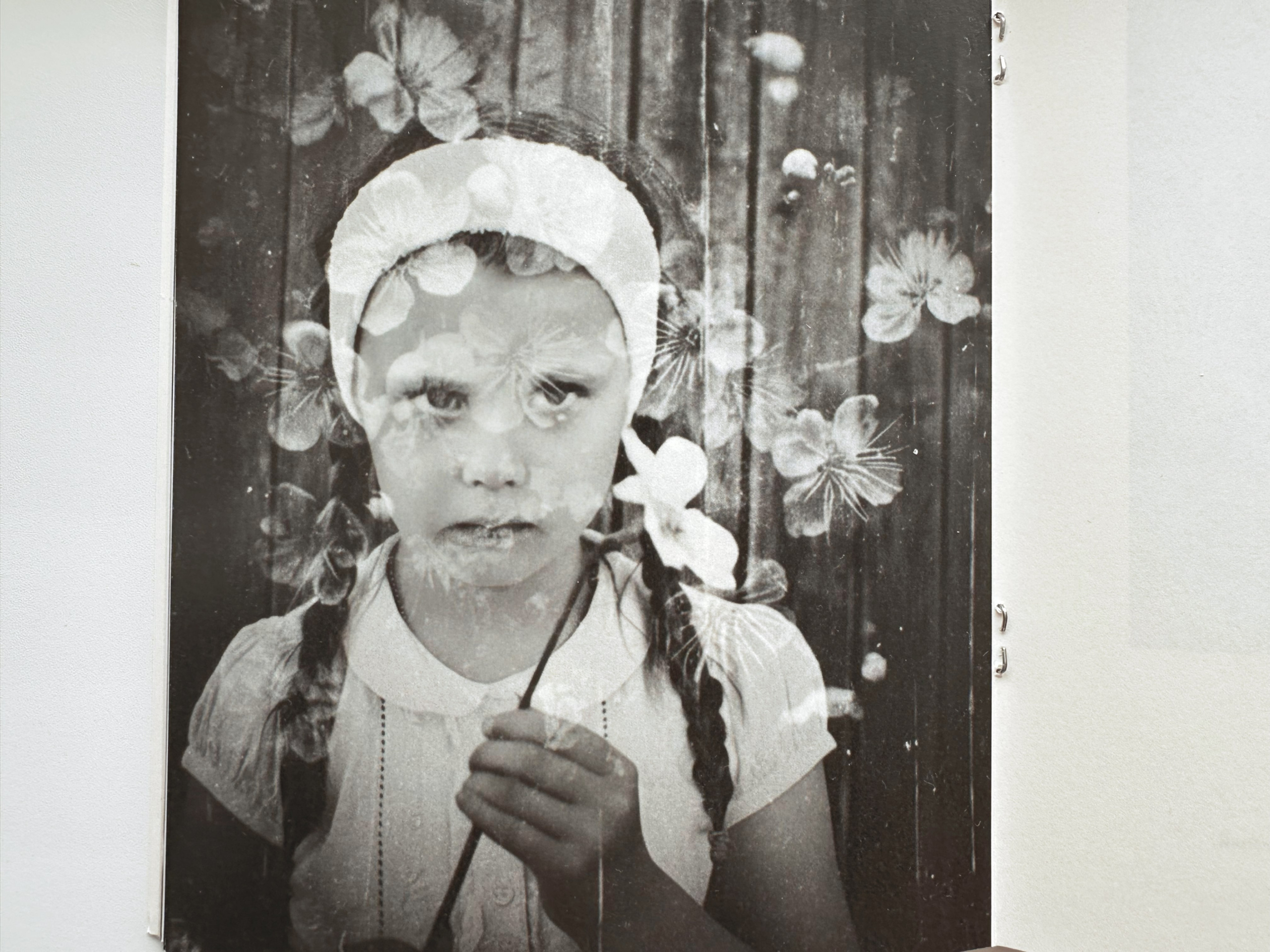 Zin book 'Instruction for assembling memory”