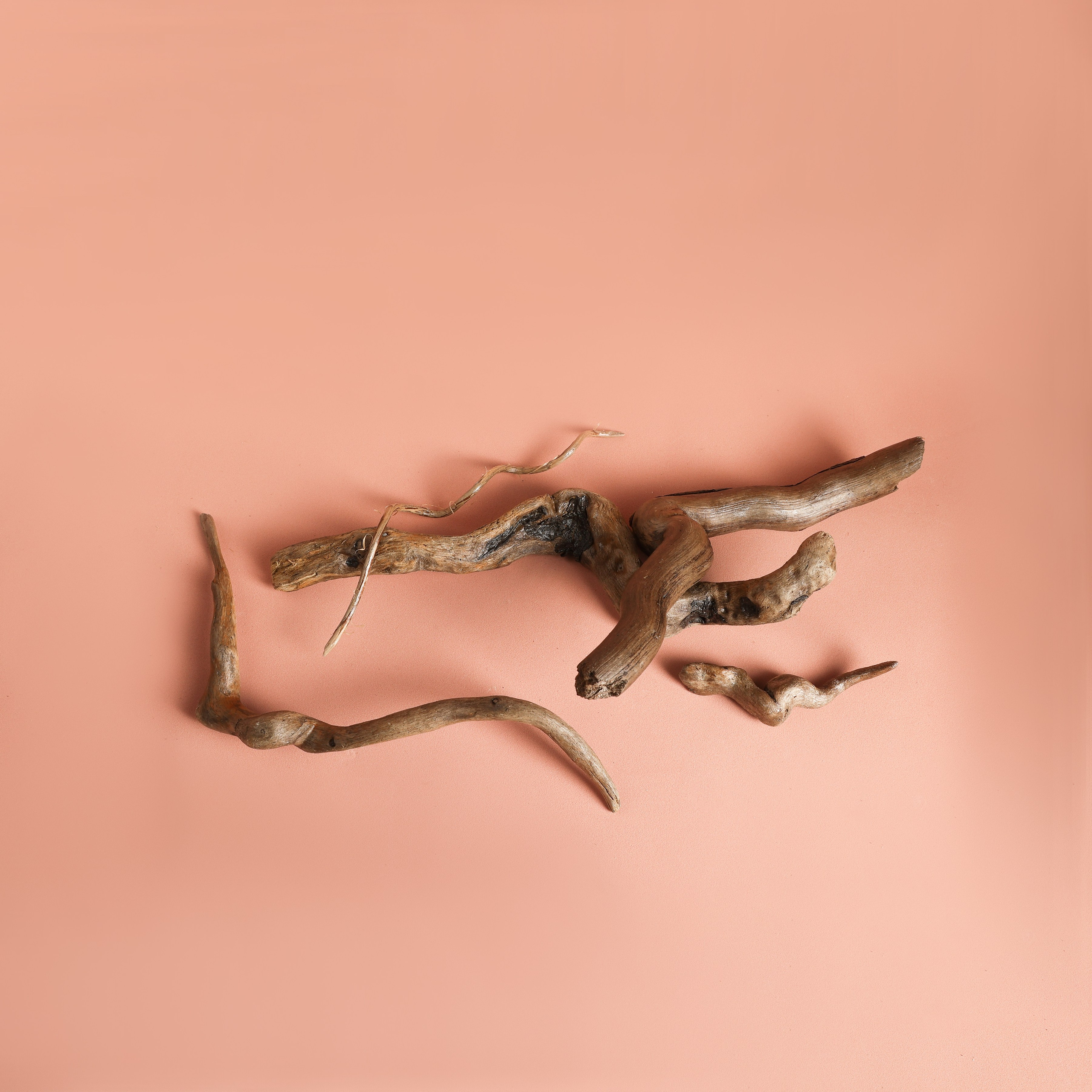 Реквизит и Оборудование