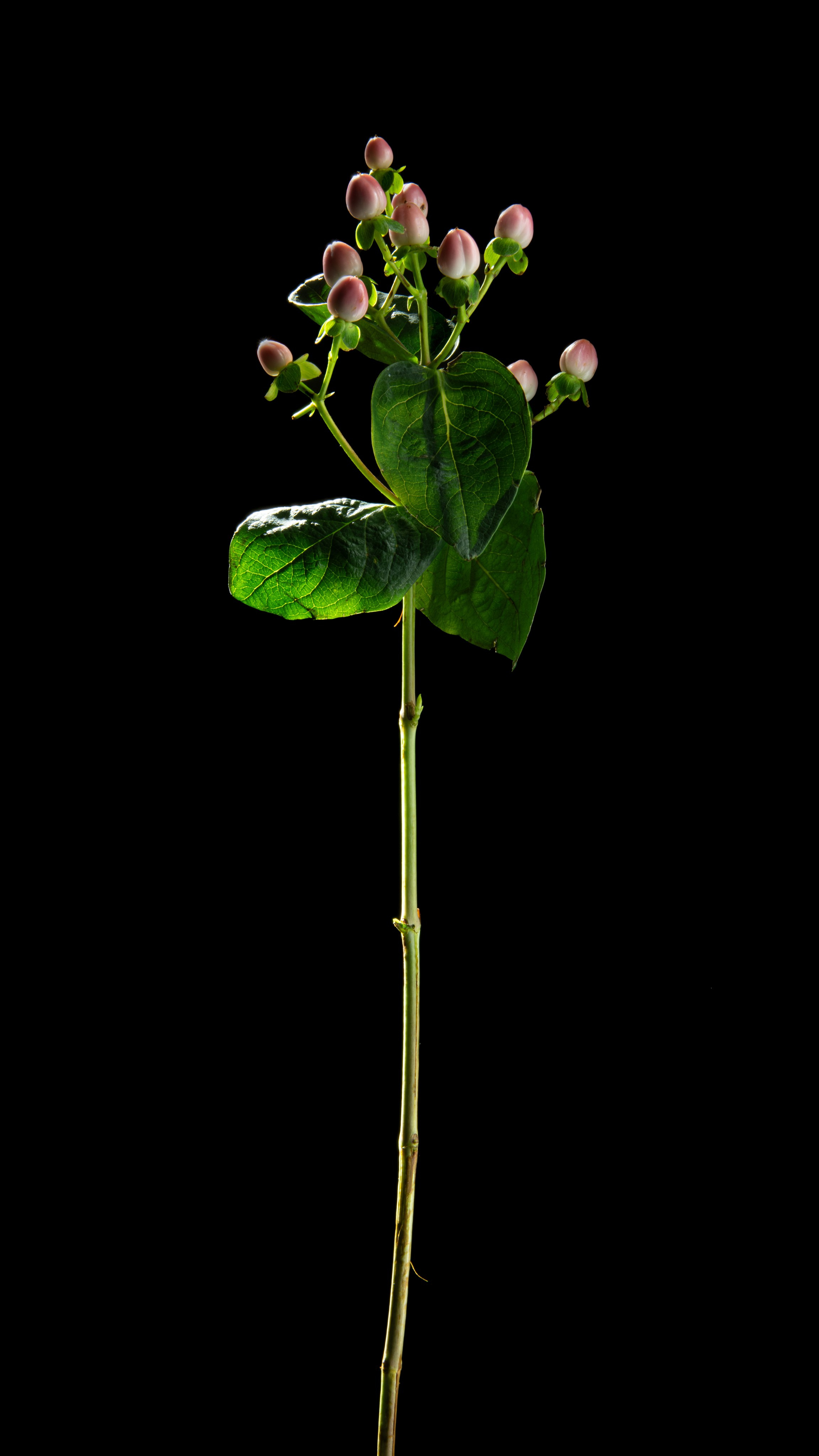 Проекты. Sakunov Photo