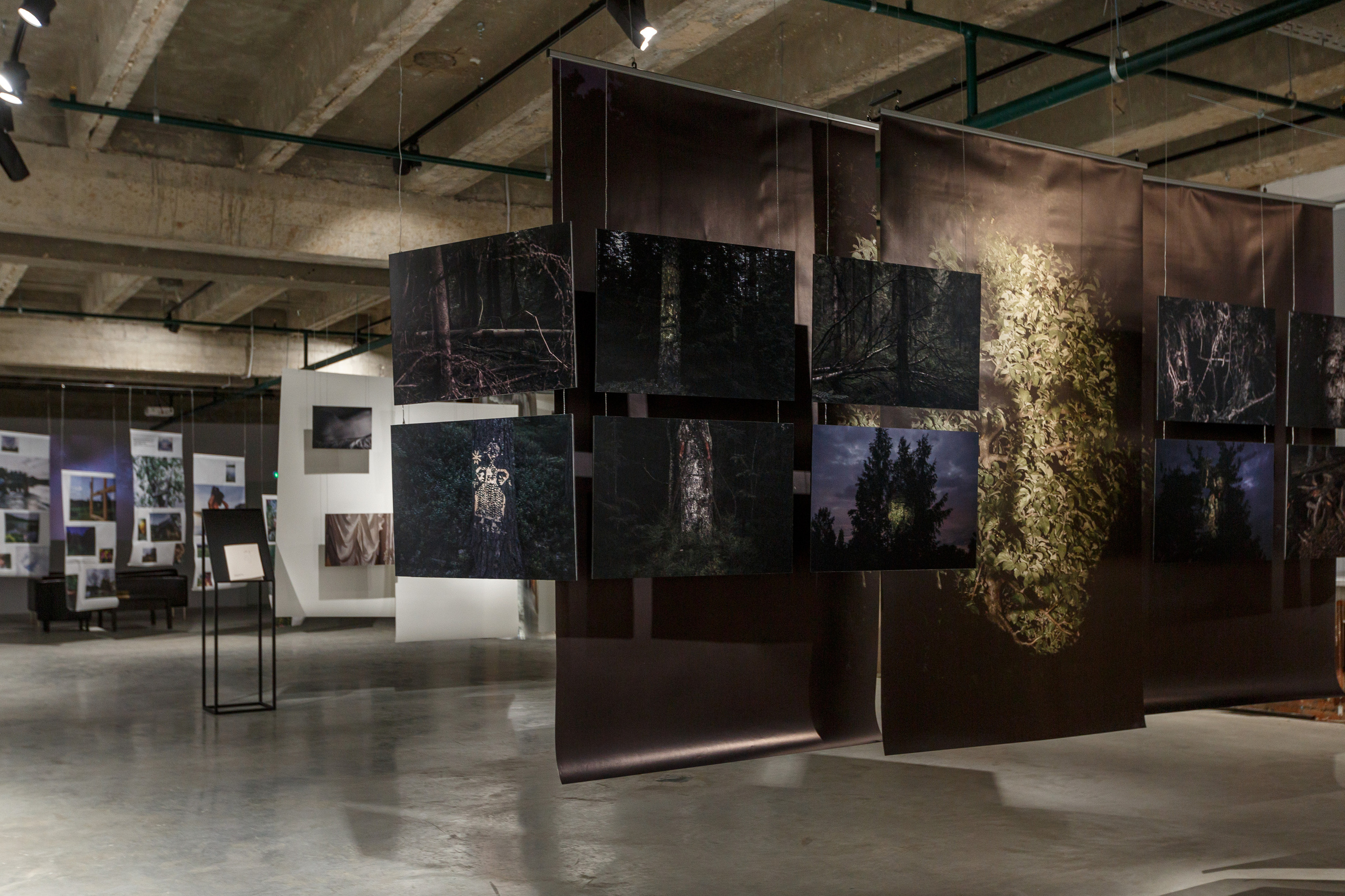 Выставка современного искусства "17", галерея PennLab, Москва. Фото Ольги Михальчук