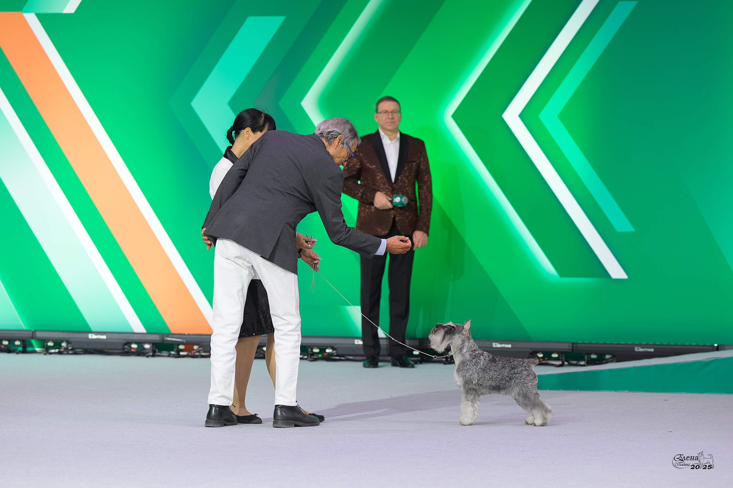 15-16.11.2025 ЕВРАЗИЯ г. Москва. Фотограф анималист Елена Галдина г. Красноярск