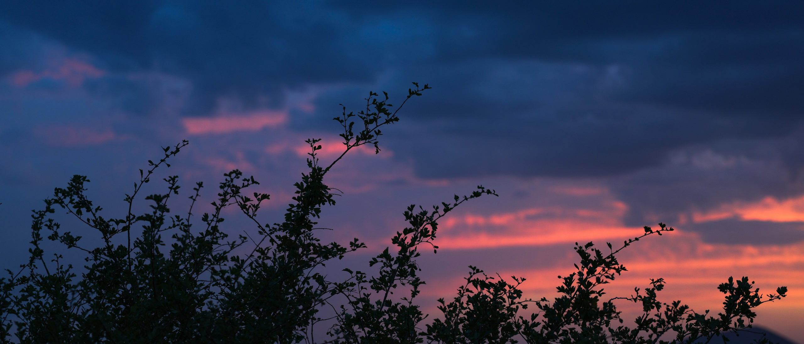 Мария Алексеева. Фотограф в Москве