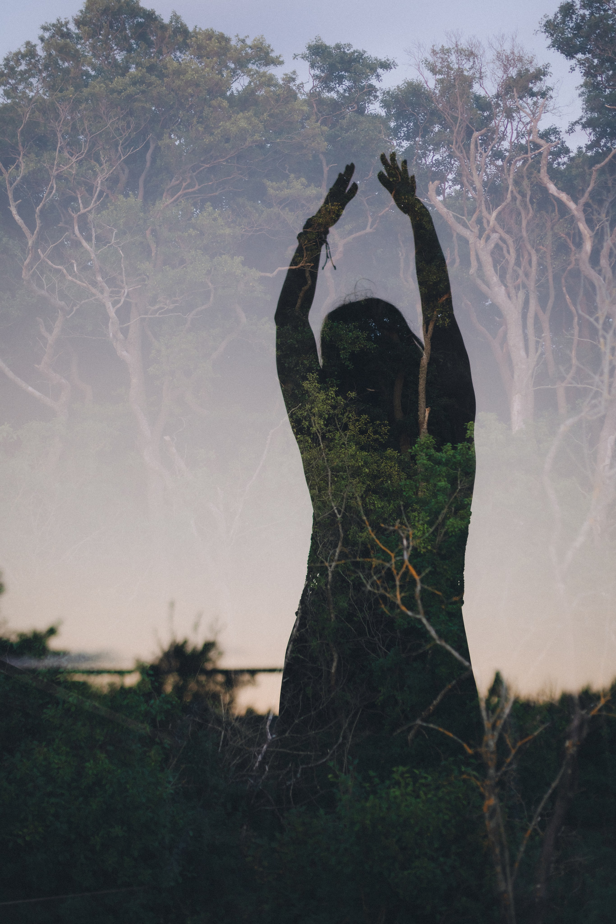 О фотографическом и не только…. Фотограф Зеленоградск Красильникова Елена