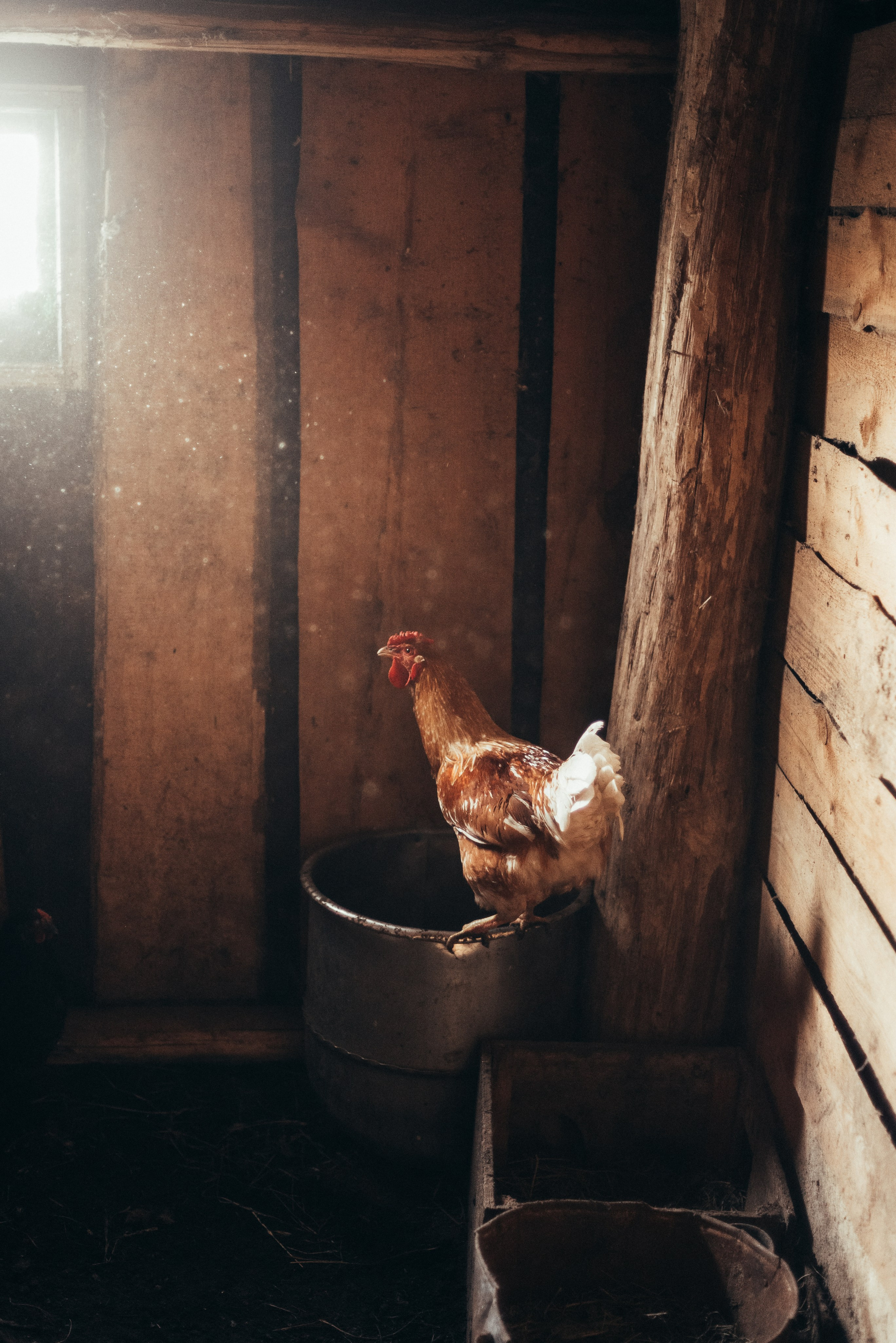 ОБО МНЕ. Художник, фотограф и арт-терапевт в Казани Аймалетдинова Альмира