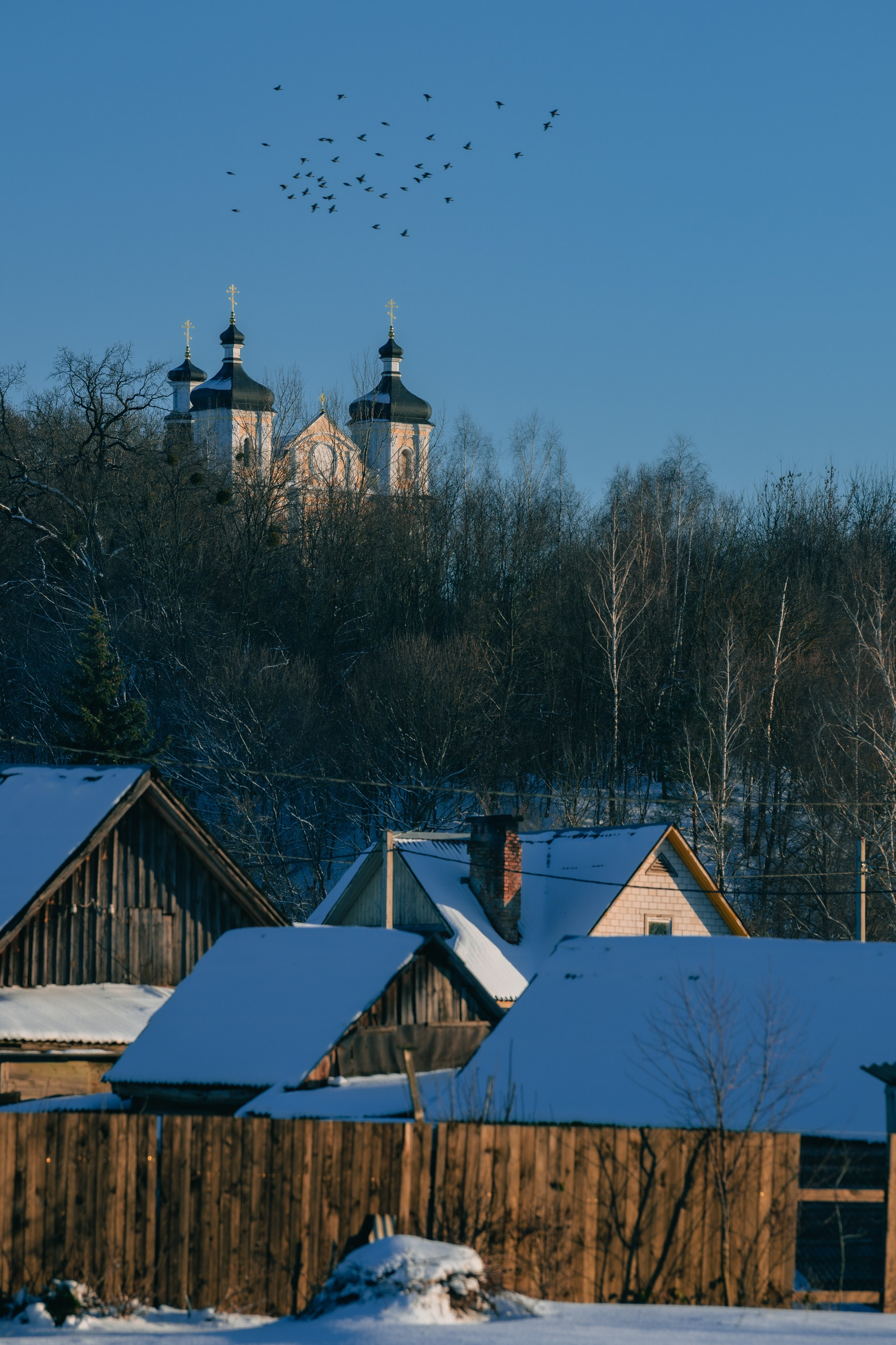 Репортажный фотограф Владимир Беляй