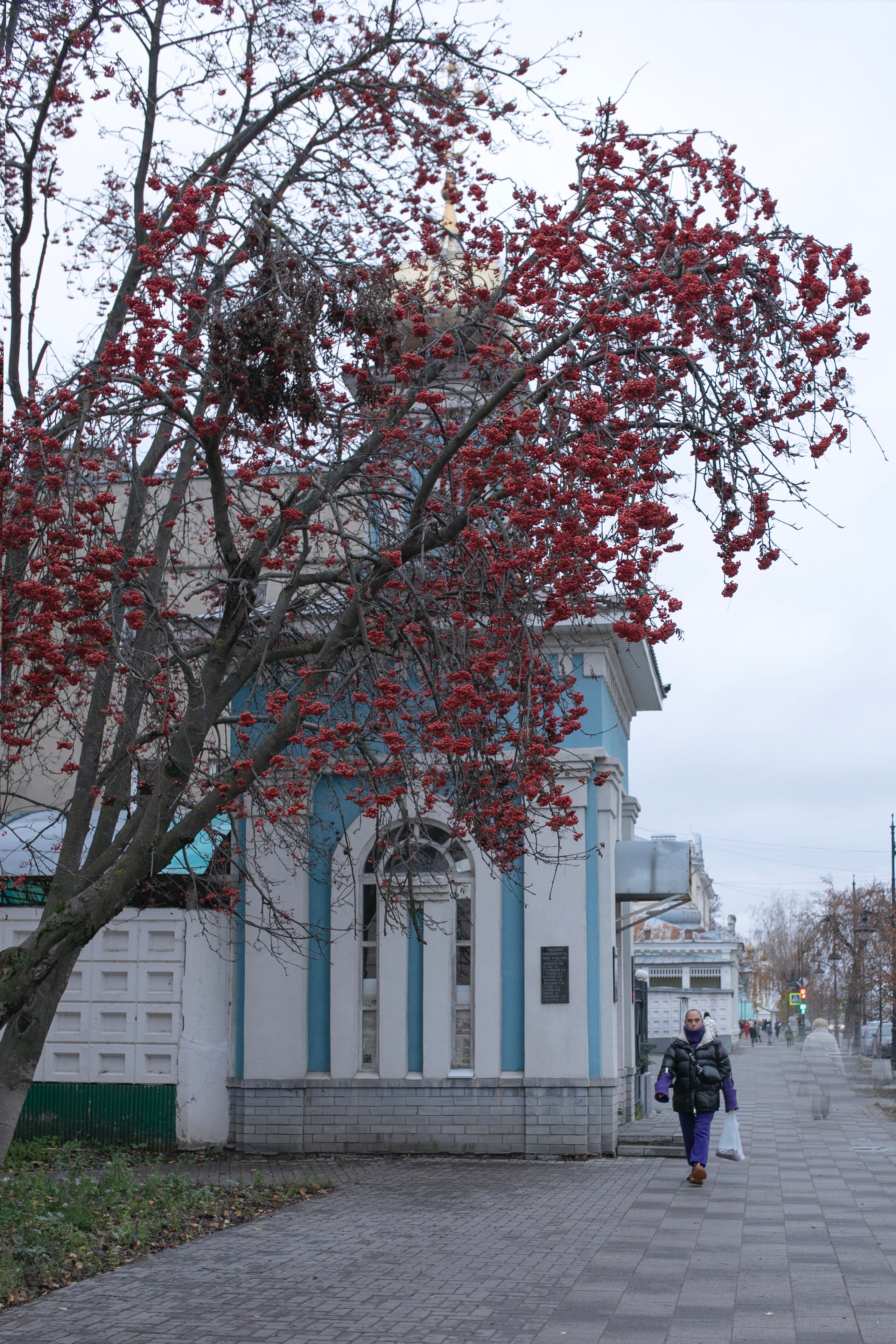 Муром — Гороховец'25. Фотограф-портретист в Москве