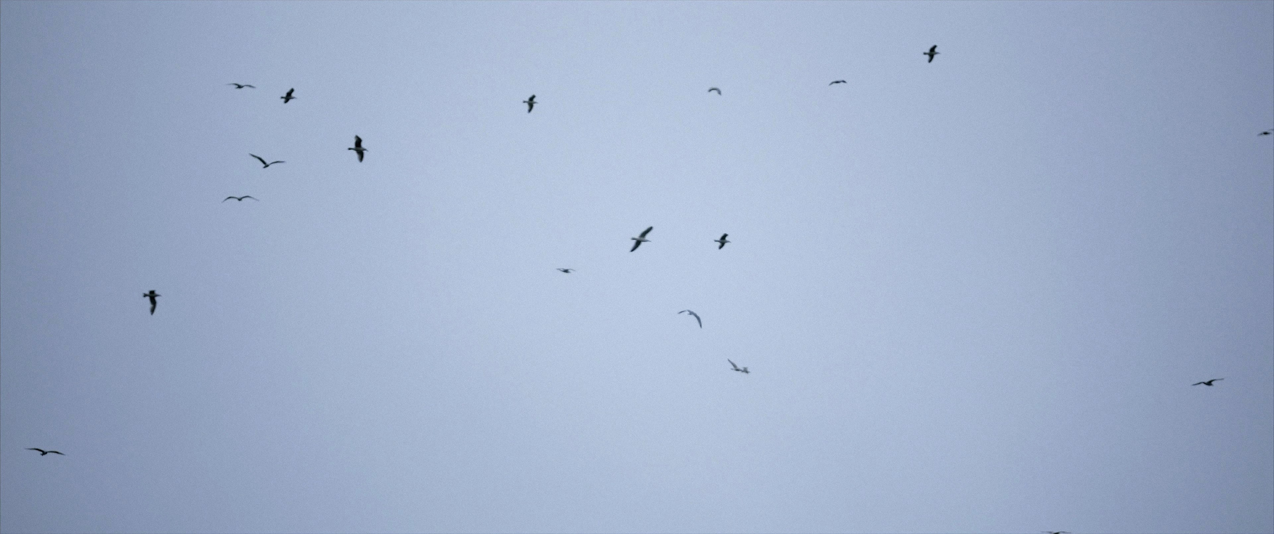 LOVE HAS NO BOUNDARIES. Tuman Film | Видеосъемка в Сочи и Дубае | Андрей Калитухо