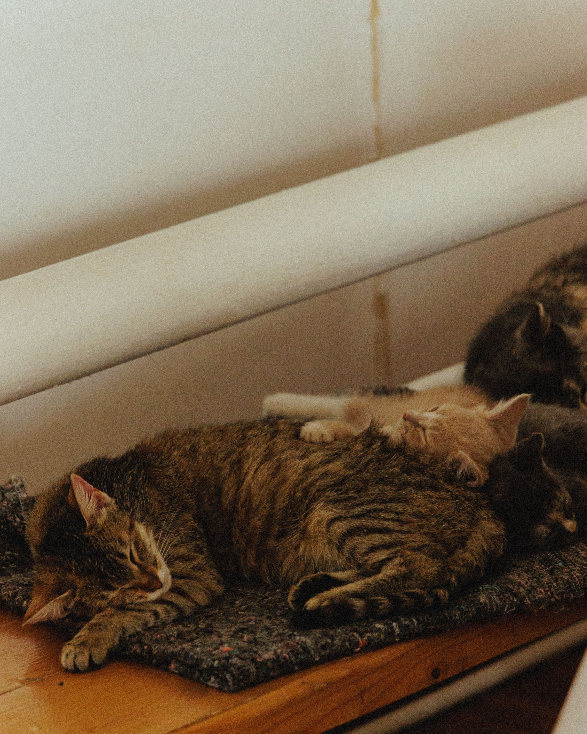 О том, как мы исследовали земли Залесские. Главная