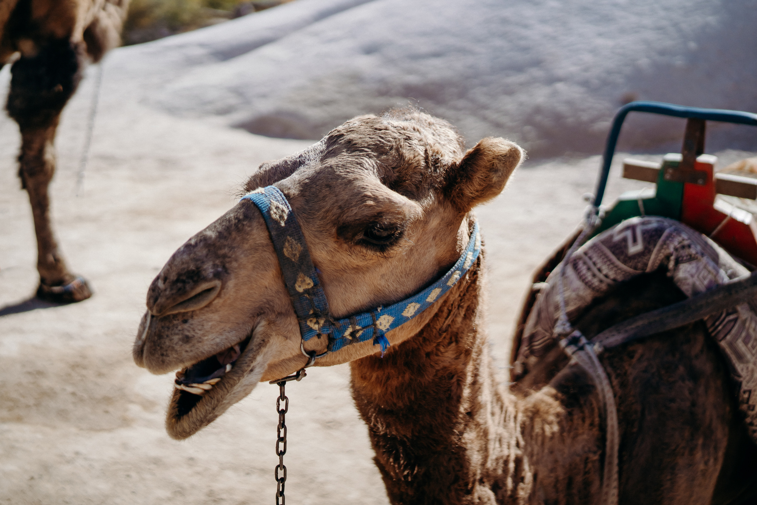 Cappadocia. Фотограф в Москве Людмила Денисенко