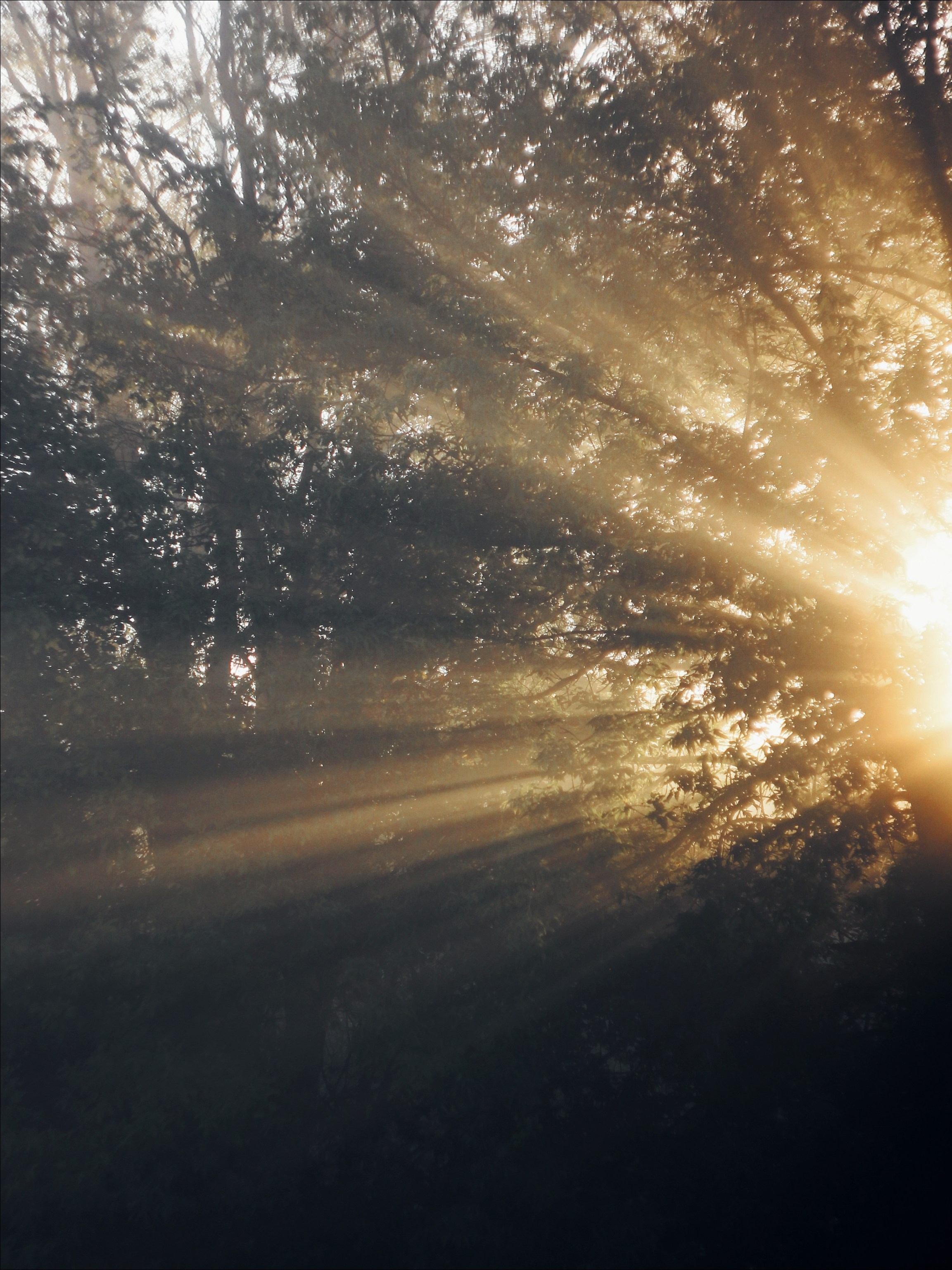 Опустошенность. С любовью, фотохудожник