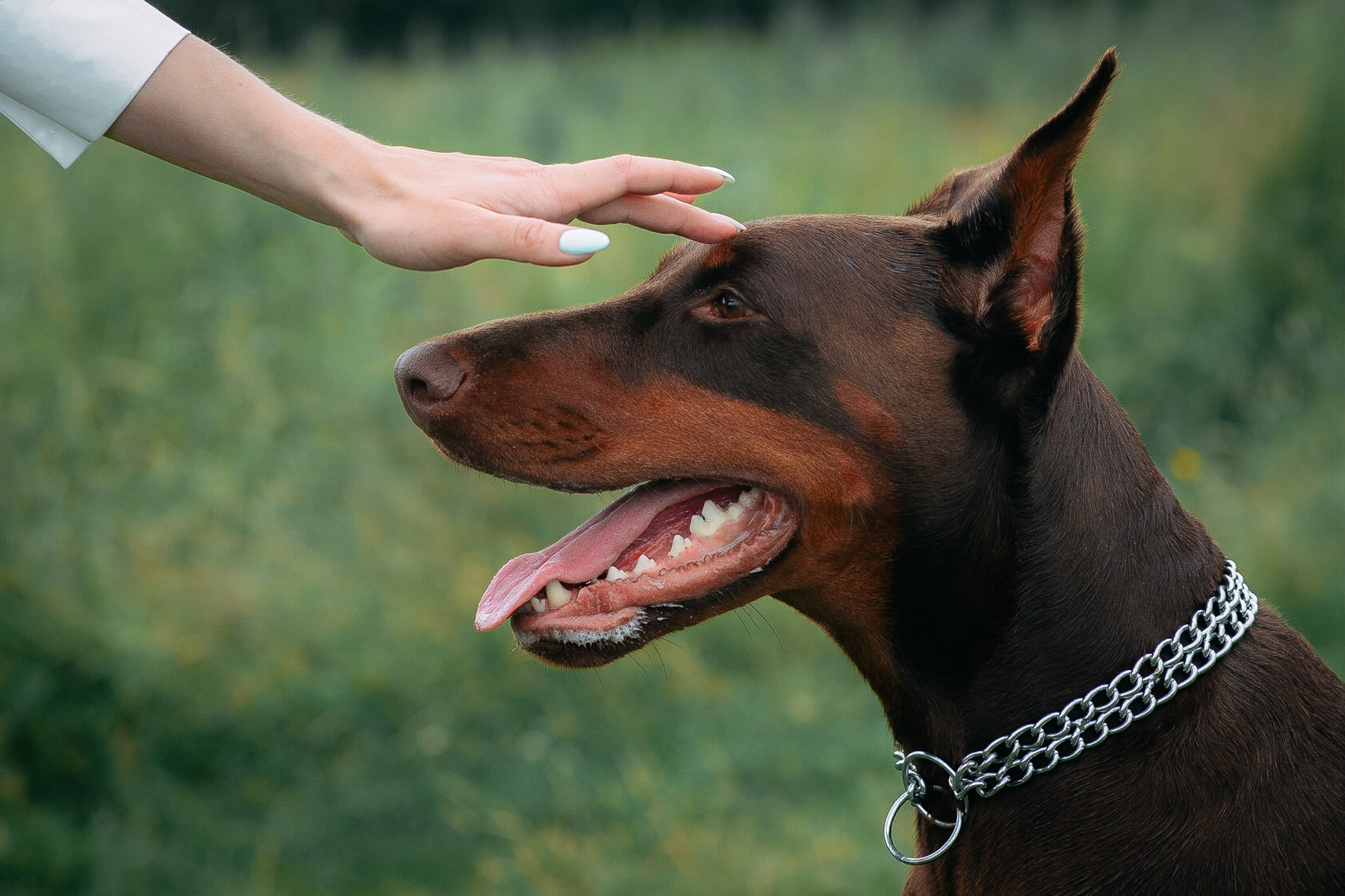 Фотограф на Камчатке Екатерина Масалович