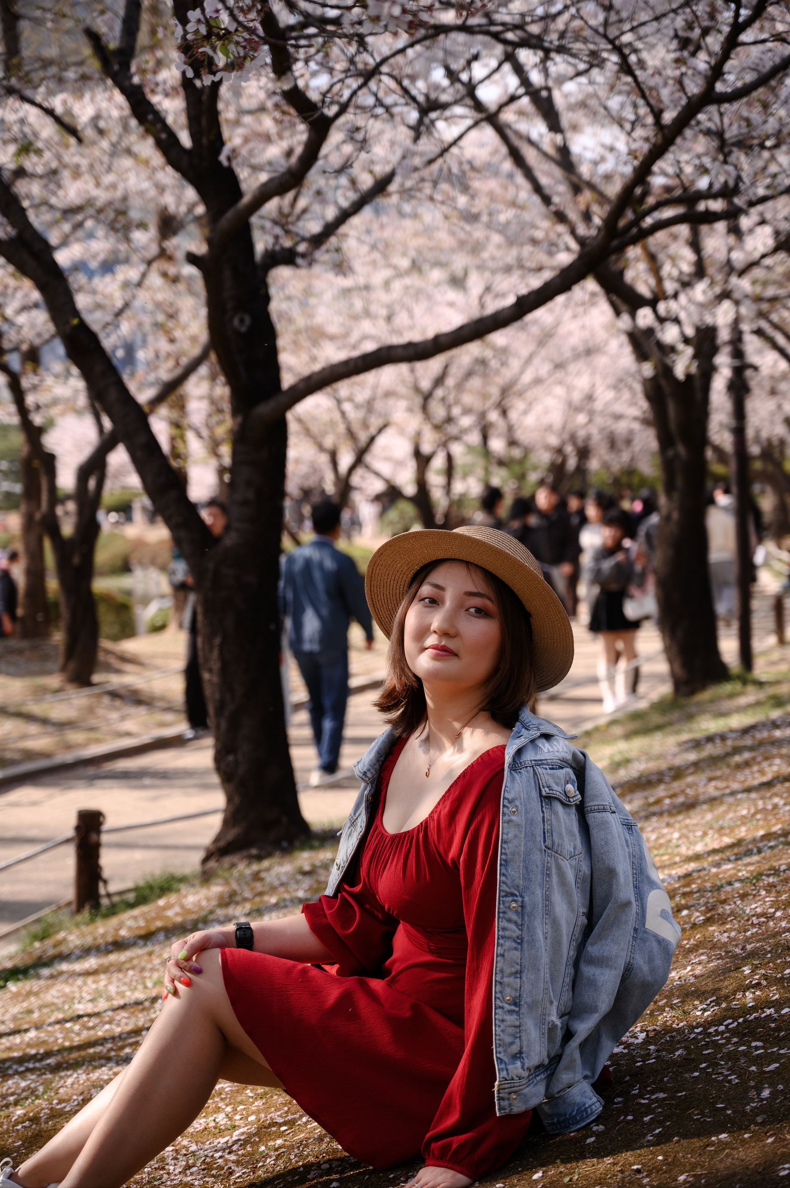 Sessão fotográfica romântica com sakura em Busan primavera