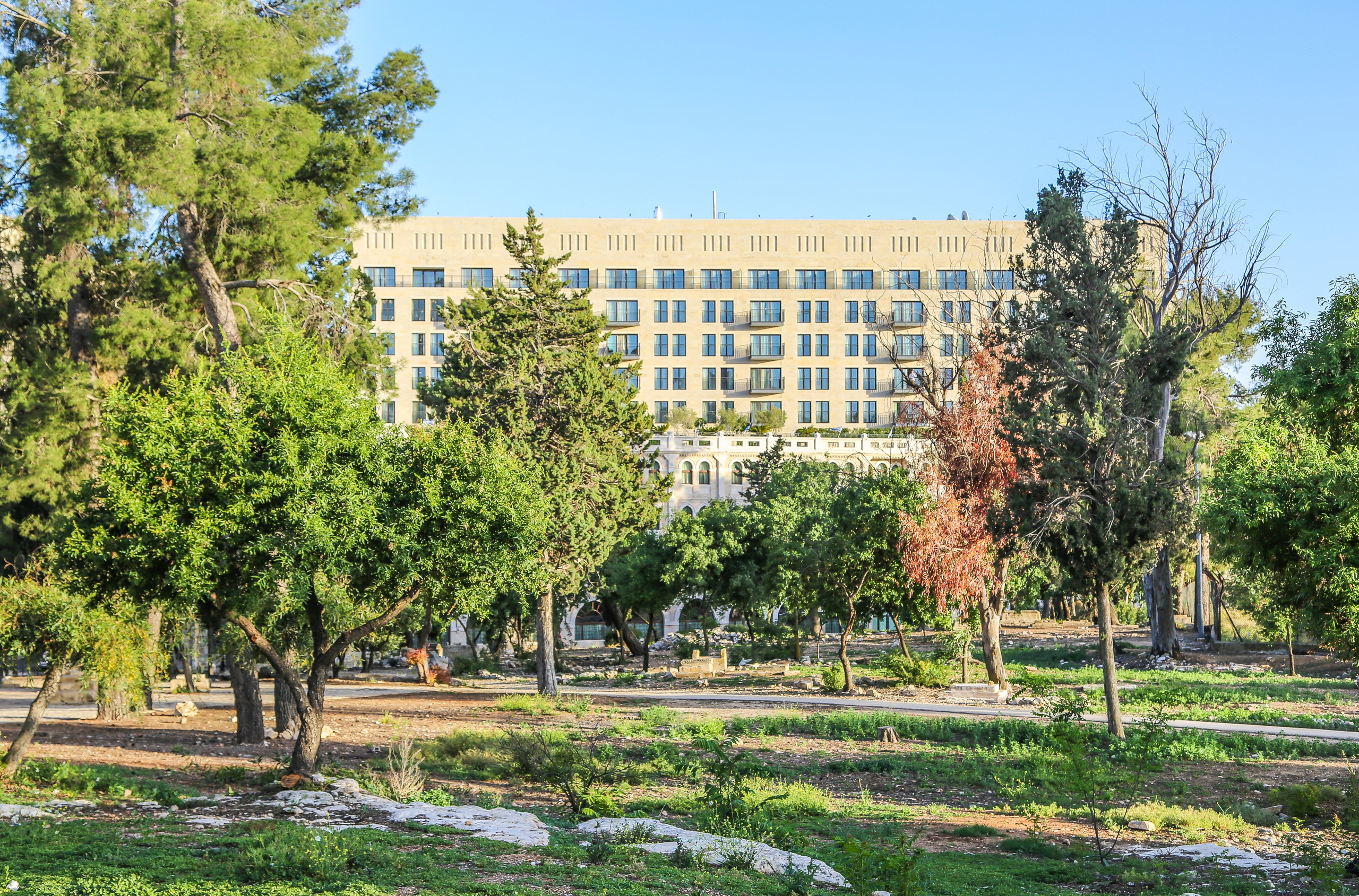 Израиль: «Под небом голубым есть город золотой…». Дарья Письменюк / Darya Leitstern — фотограф, музыкант, журналист, путешественник