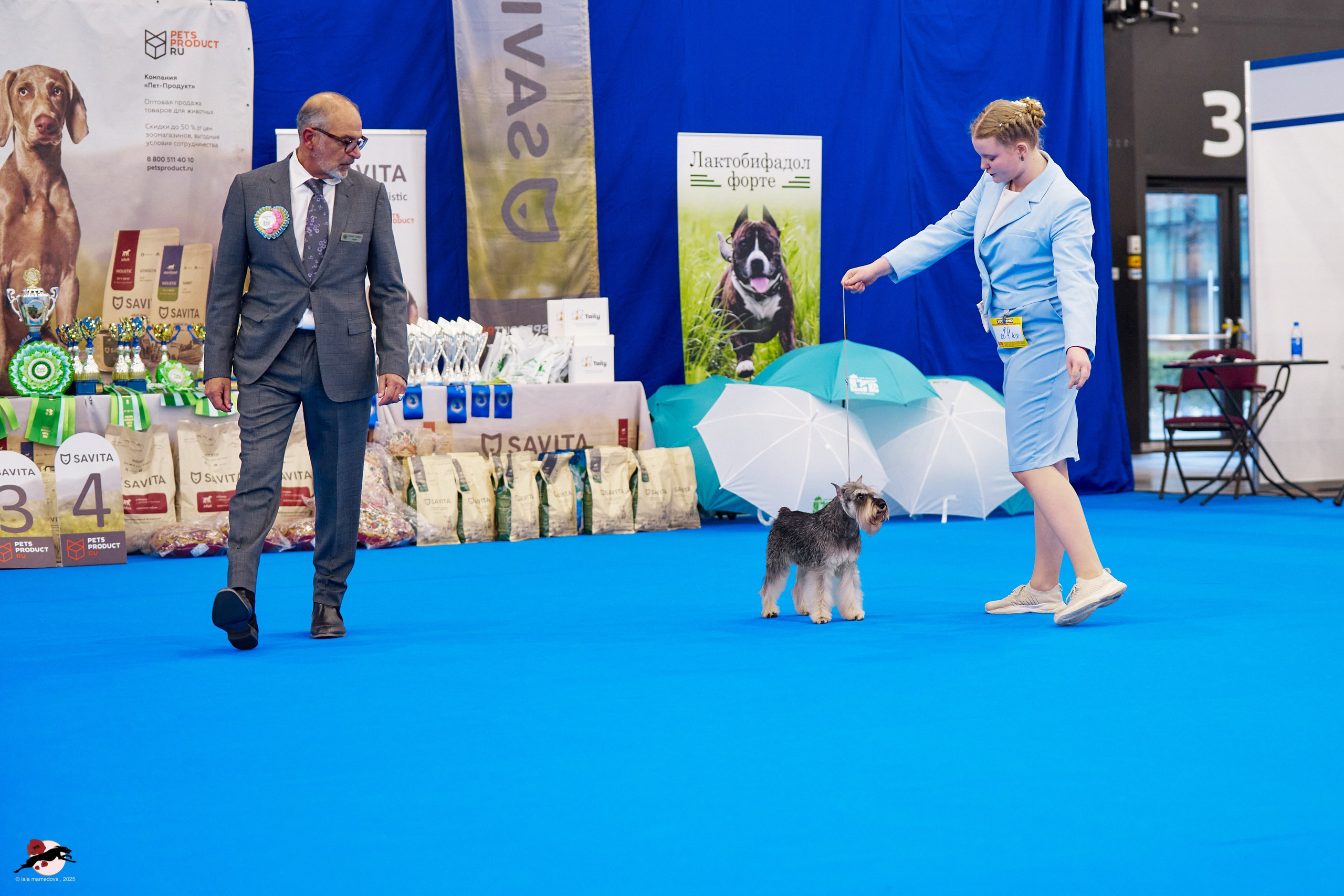 ГРАН ПРИ «ВЕСЕННИЙ ПЕТЕРБУРГ» & «СУПЕР КУБОК «ЭЛИТЫ»-2025»