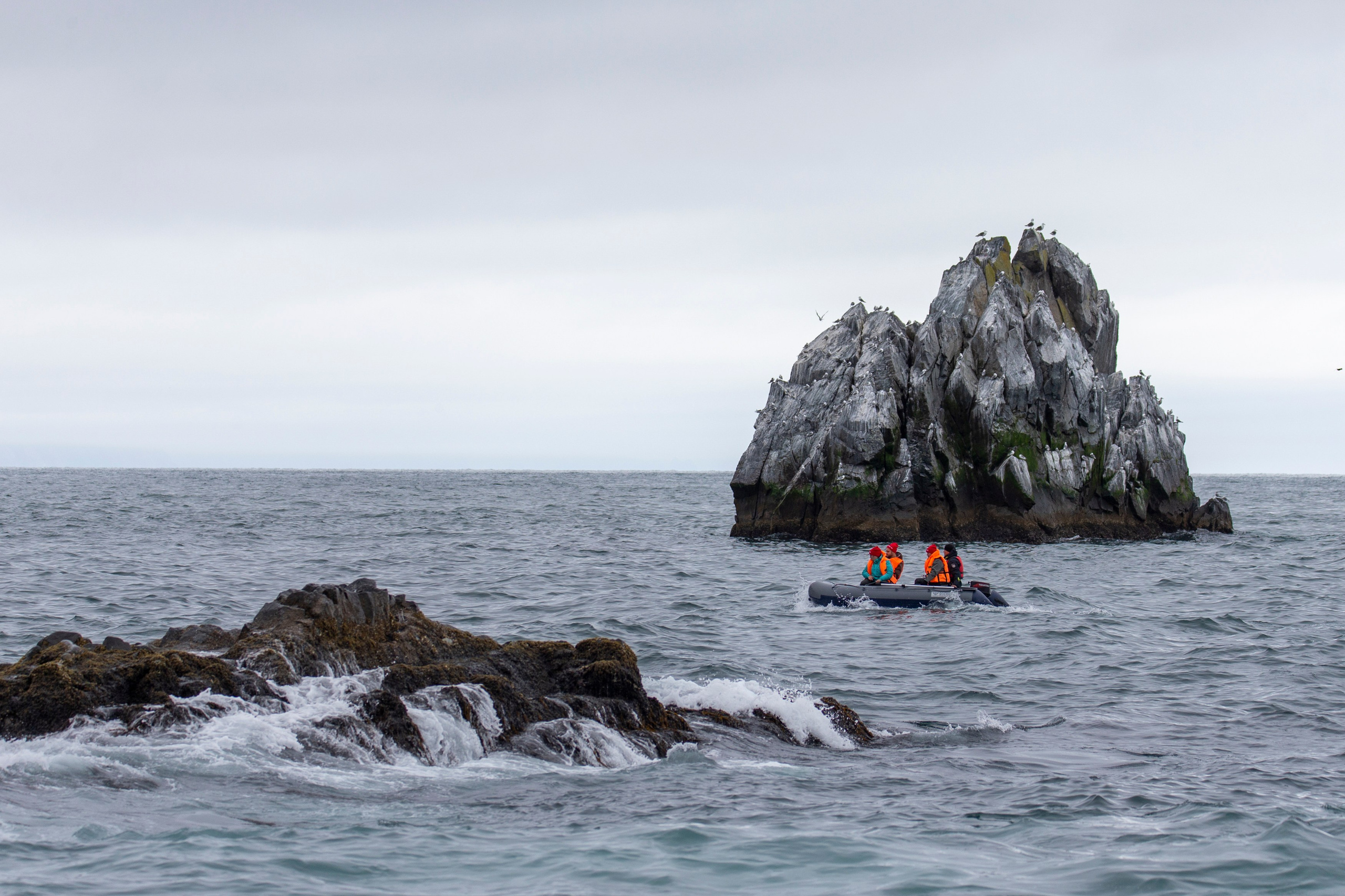 Русская бухта — дикая природа и морские маршруты Камчатки. Время Камчатки: чтобы найти свой путь, нужно скорость умножить на время