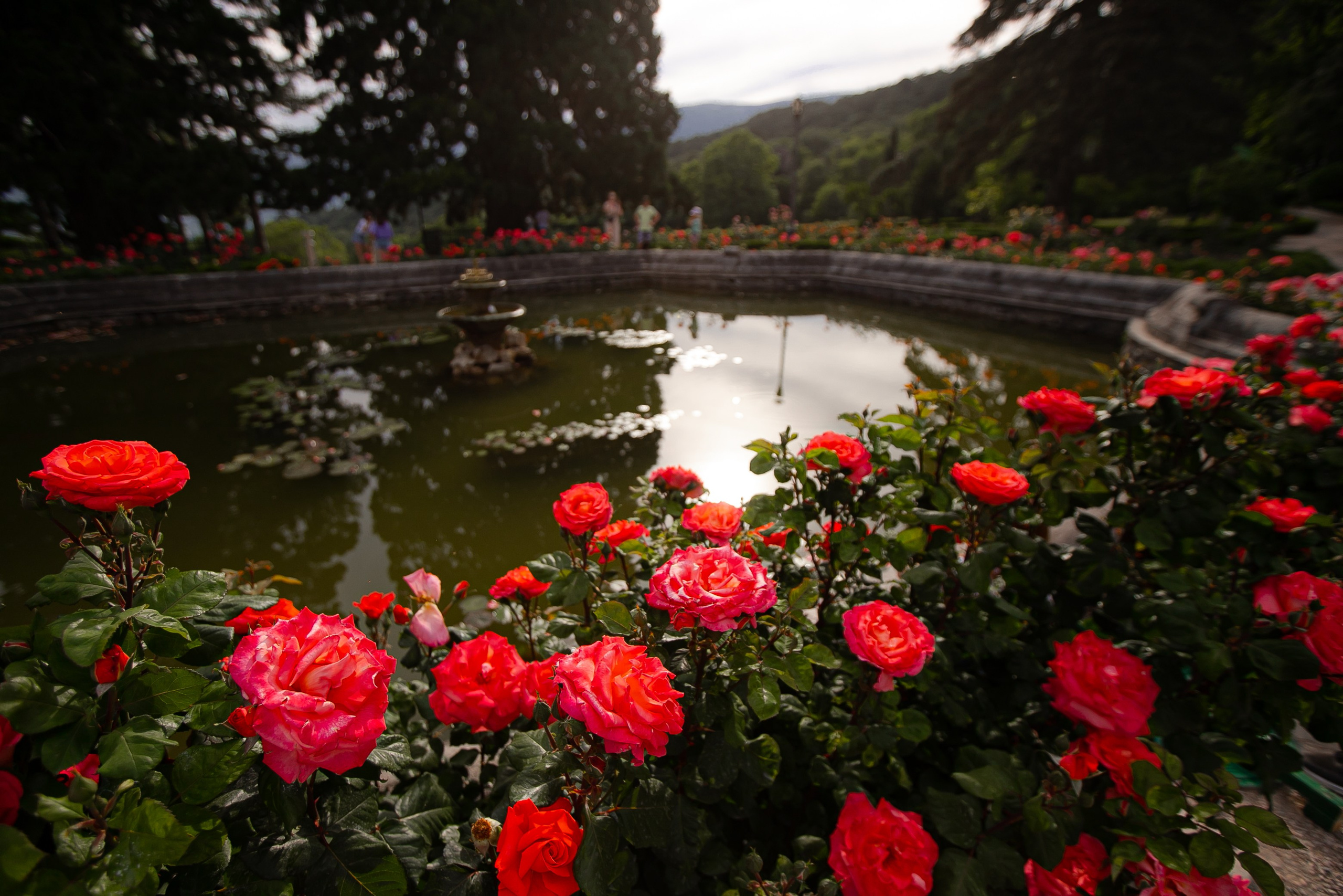 Фотосессия в Массандровском дворце 2024 г. Свадебный фотограф в Севастополе и Крыму| Tanya Sher