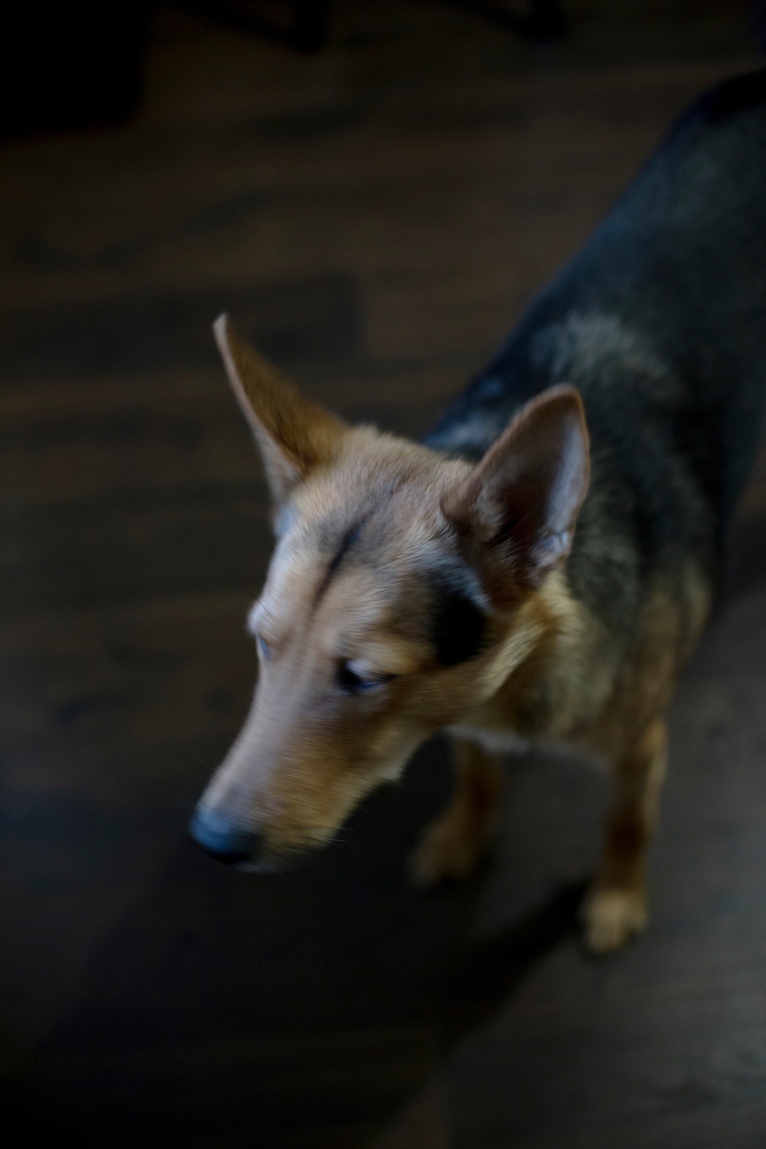 Chapter 1. Failure. Aleksandra Mikhailova multimedia artist