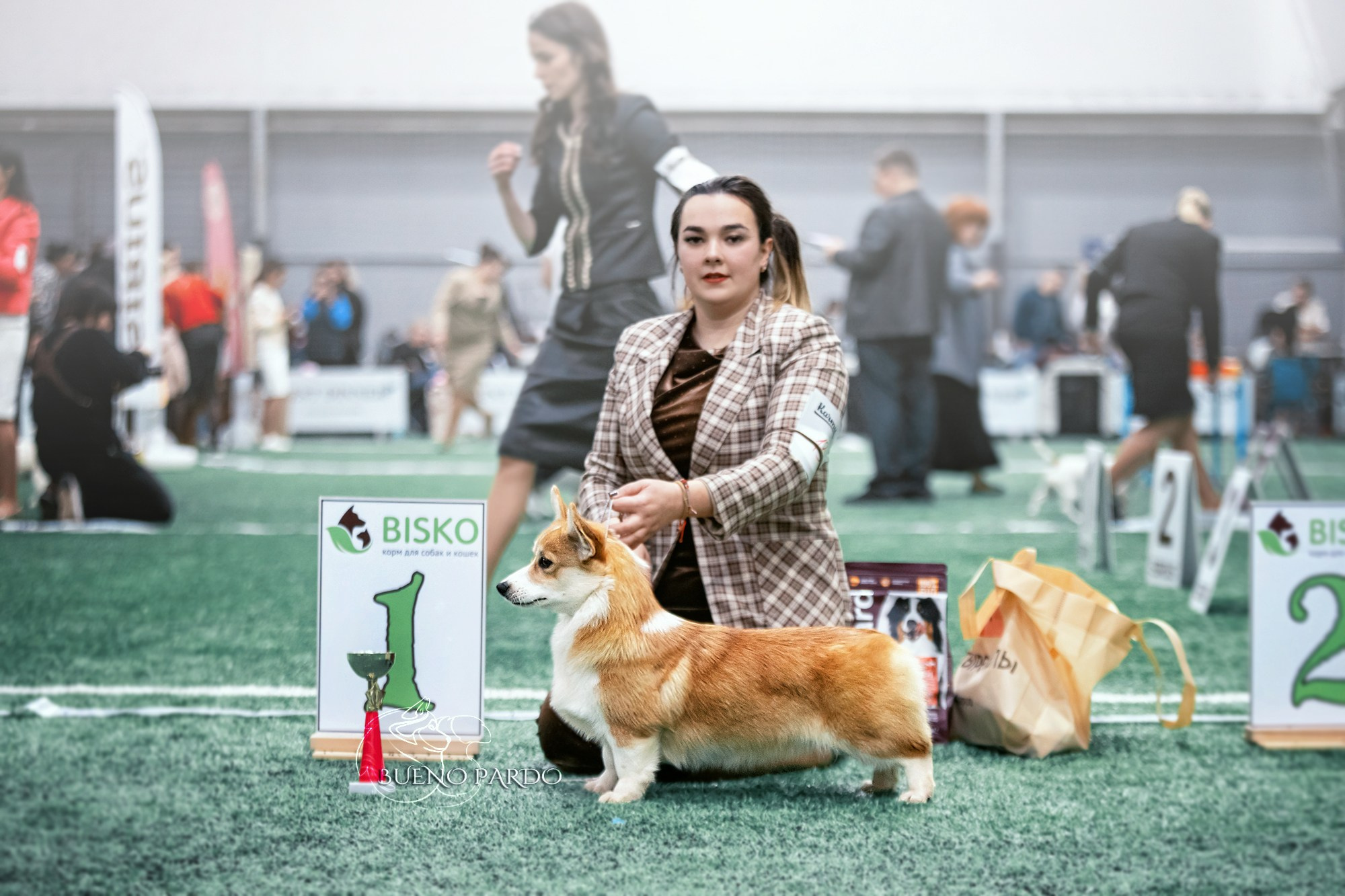 Собаки питомника Bueno Pardo. Питомник собак Акита, Хаски, Корги