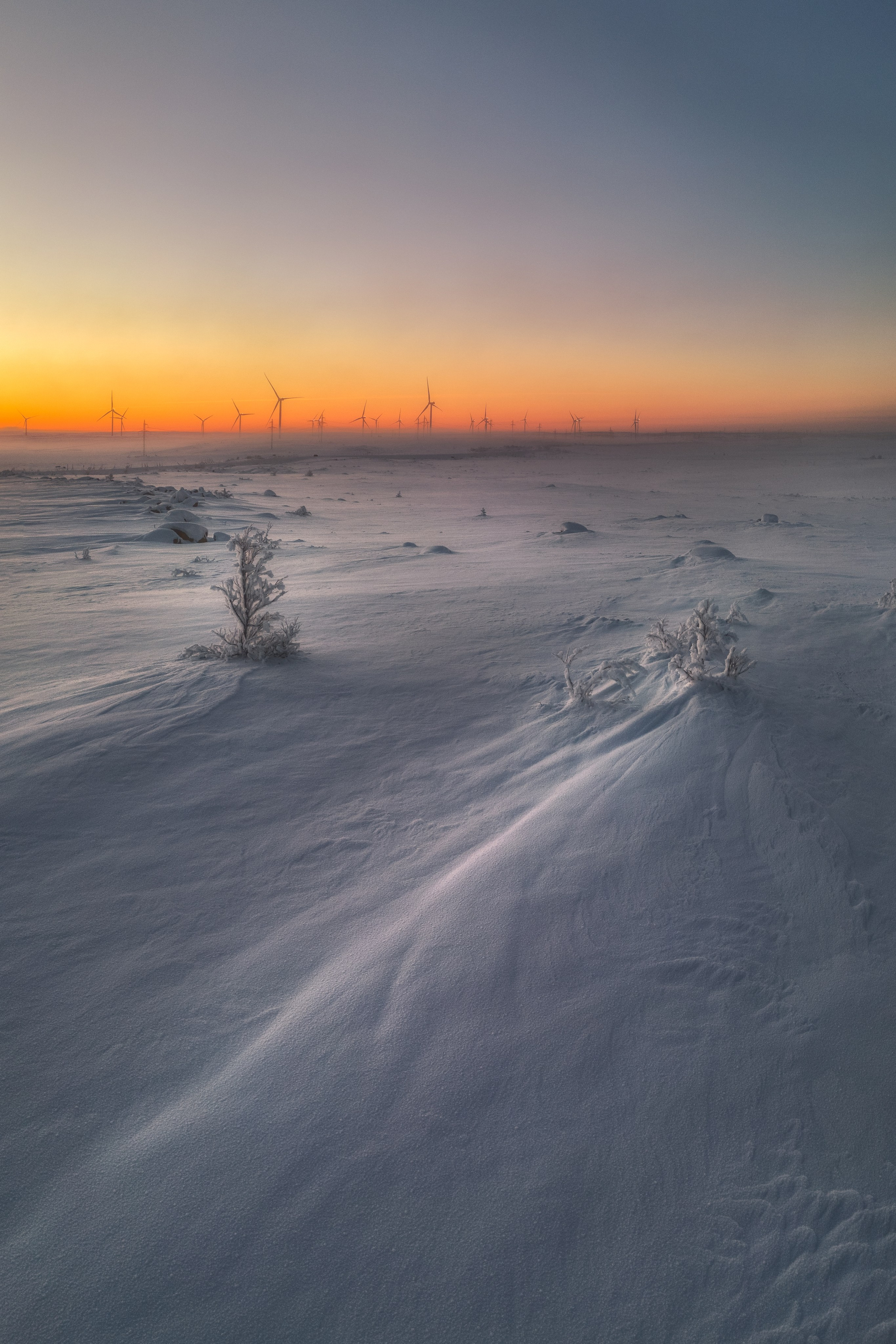 Предзимье на Кольском