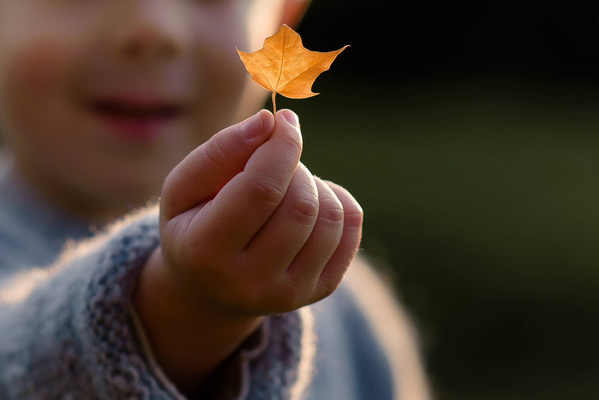 Семья Тани, Жени с Наташей и Мишей. Семейный и свадебный фотограф в Санкт-Петербурге Серафима Смирнова