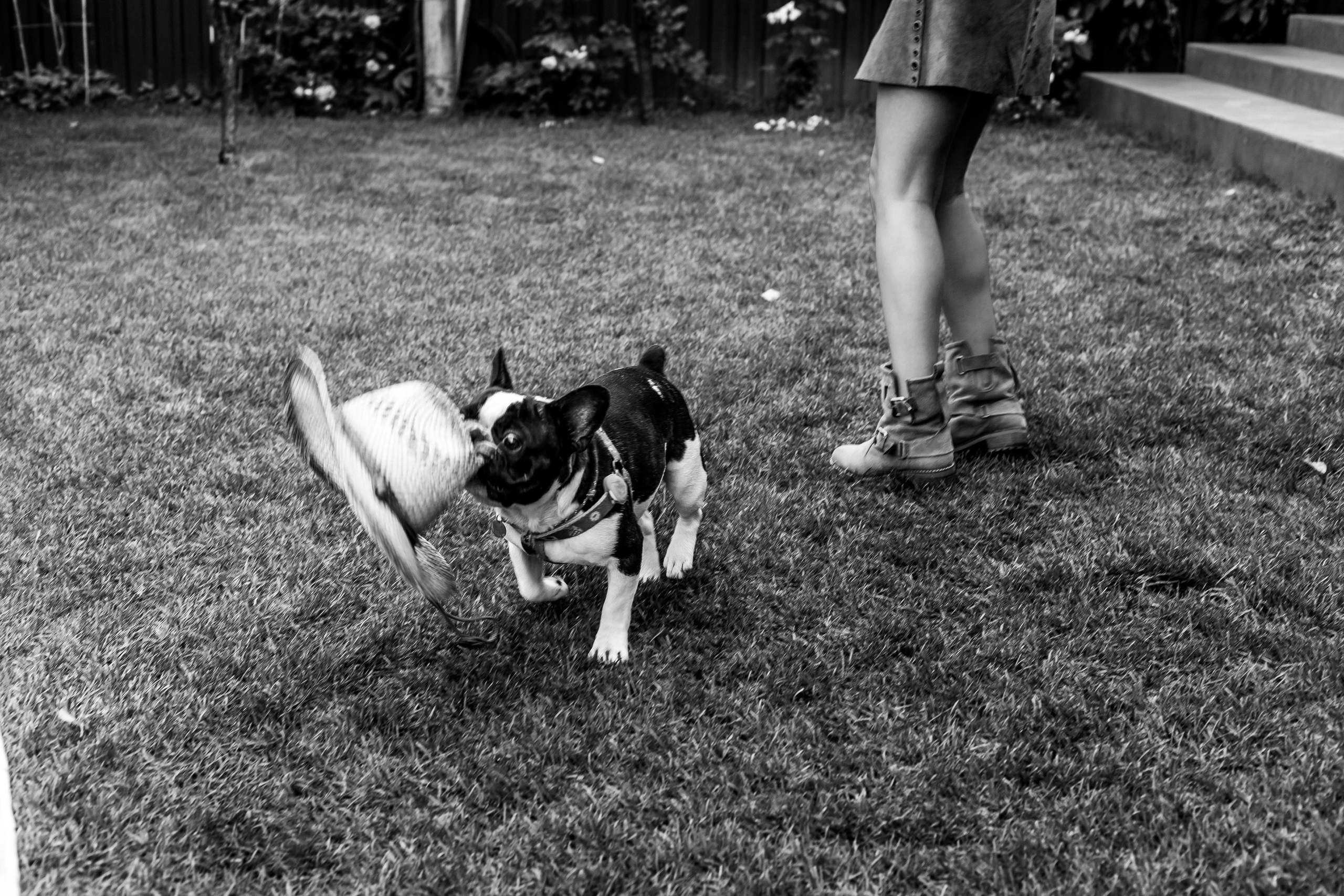 День рождения фотосессия на природе в стиле бохо. Свадебный фотограф в Москве Элина Ларченкова. Фото, которые цепляют