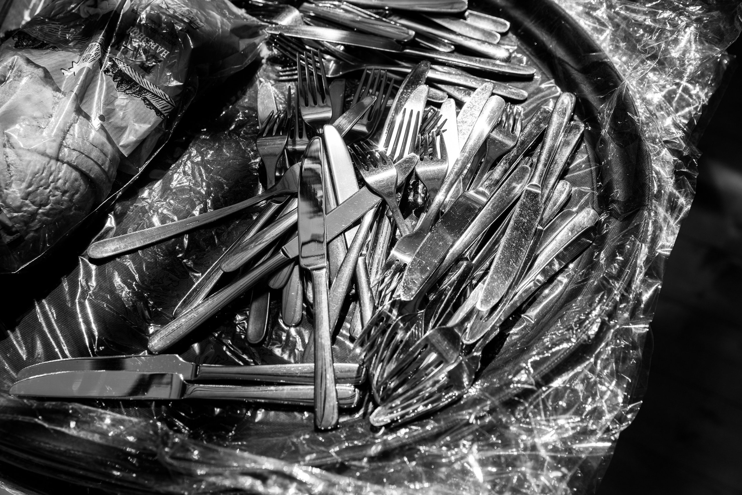 Свадьба в оранжерее