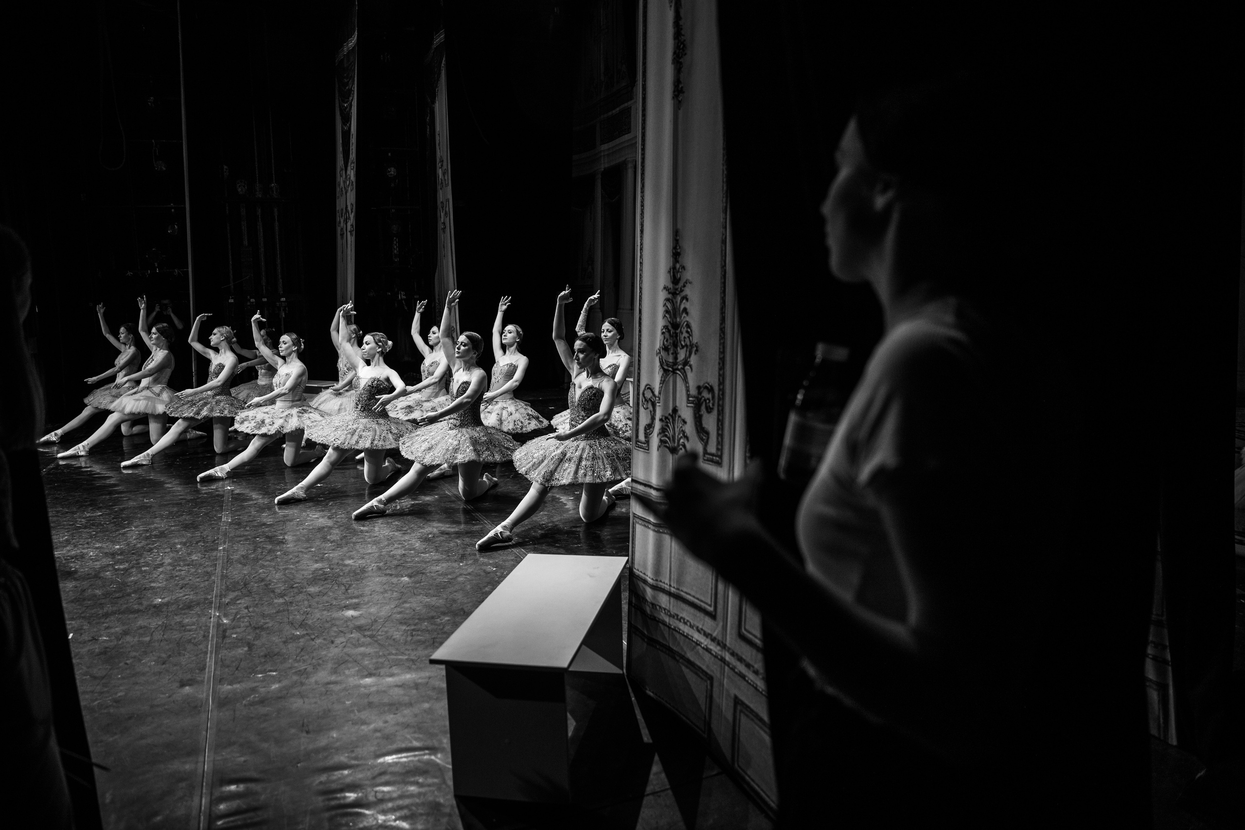 Фото репортаж балета Спящая красавица театр Луны. Свадебный фотограф в Москве Элина Ларченкова. Фото, которые цепляют