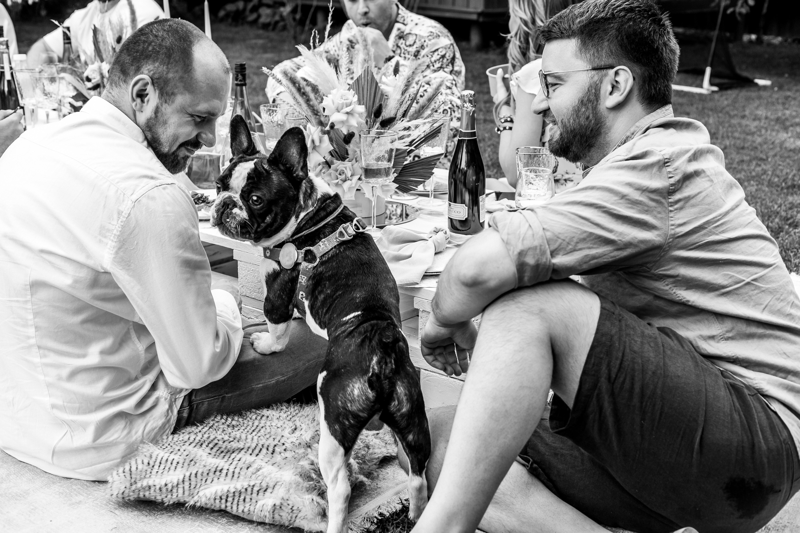 День рождения фотосессия на природе в стиле бохо. Свадебный фотограф в Москве Элина Ларченкова. Фото, которые цепляют