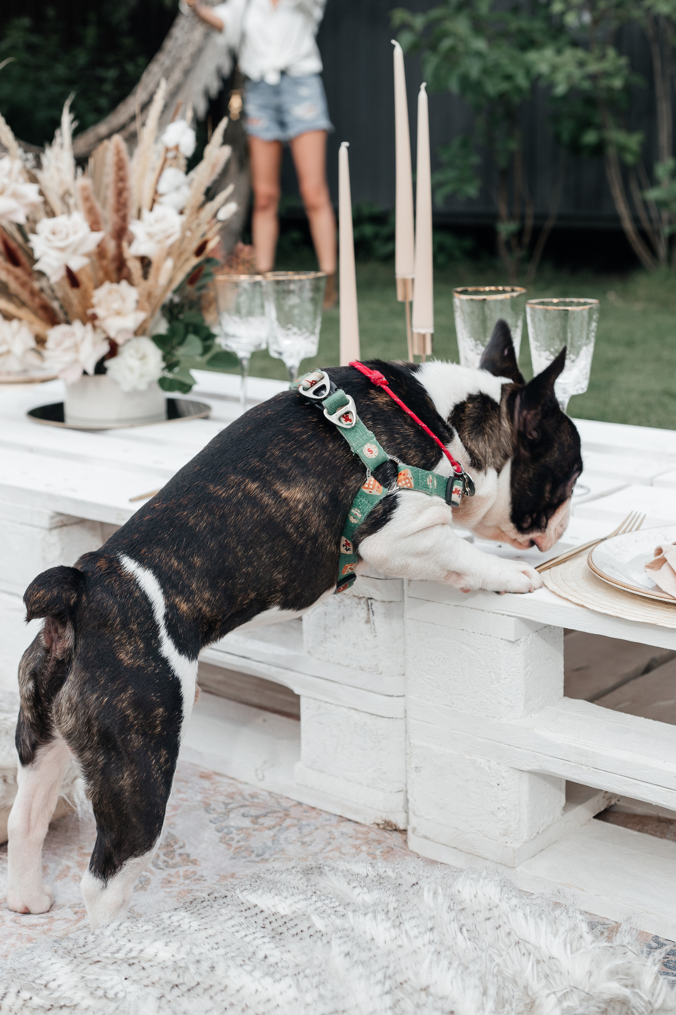 День рождения фотосессия на природе в стиле бохо. Свадебный фотограф в Москве Элина Ларченкова. Фото, которые цепляют