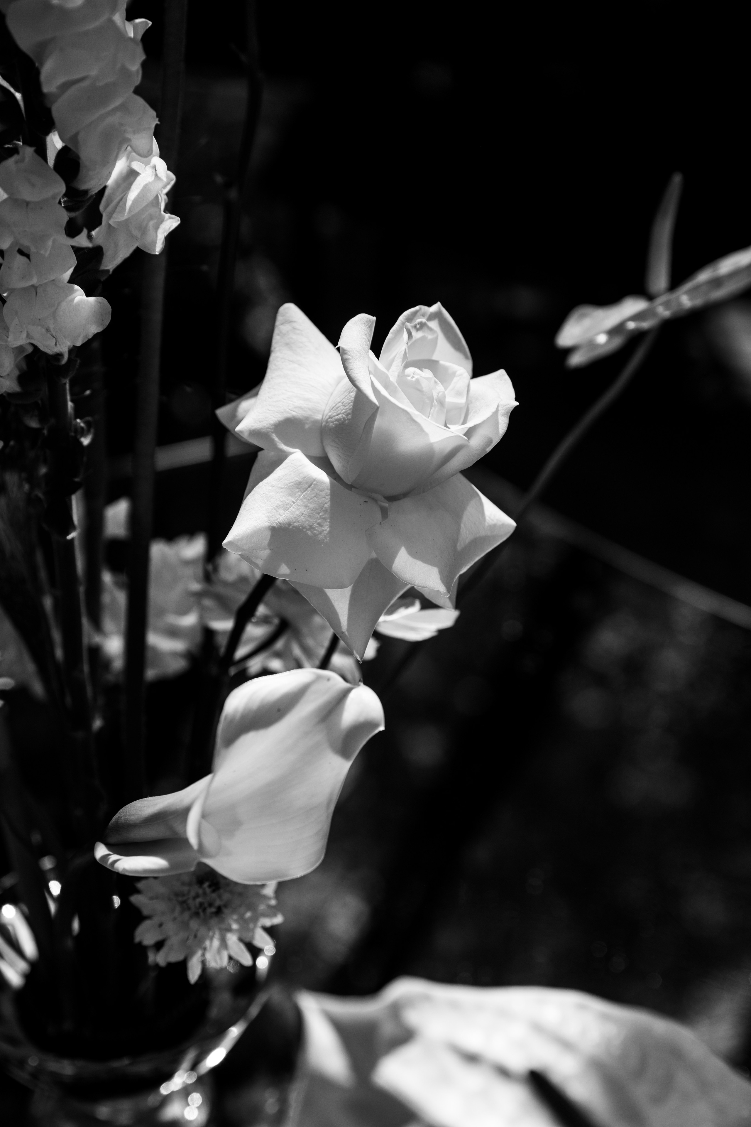 Свадьба в оранжерее