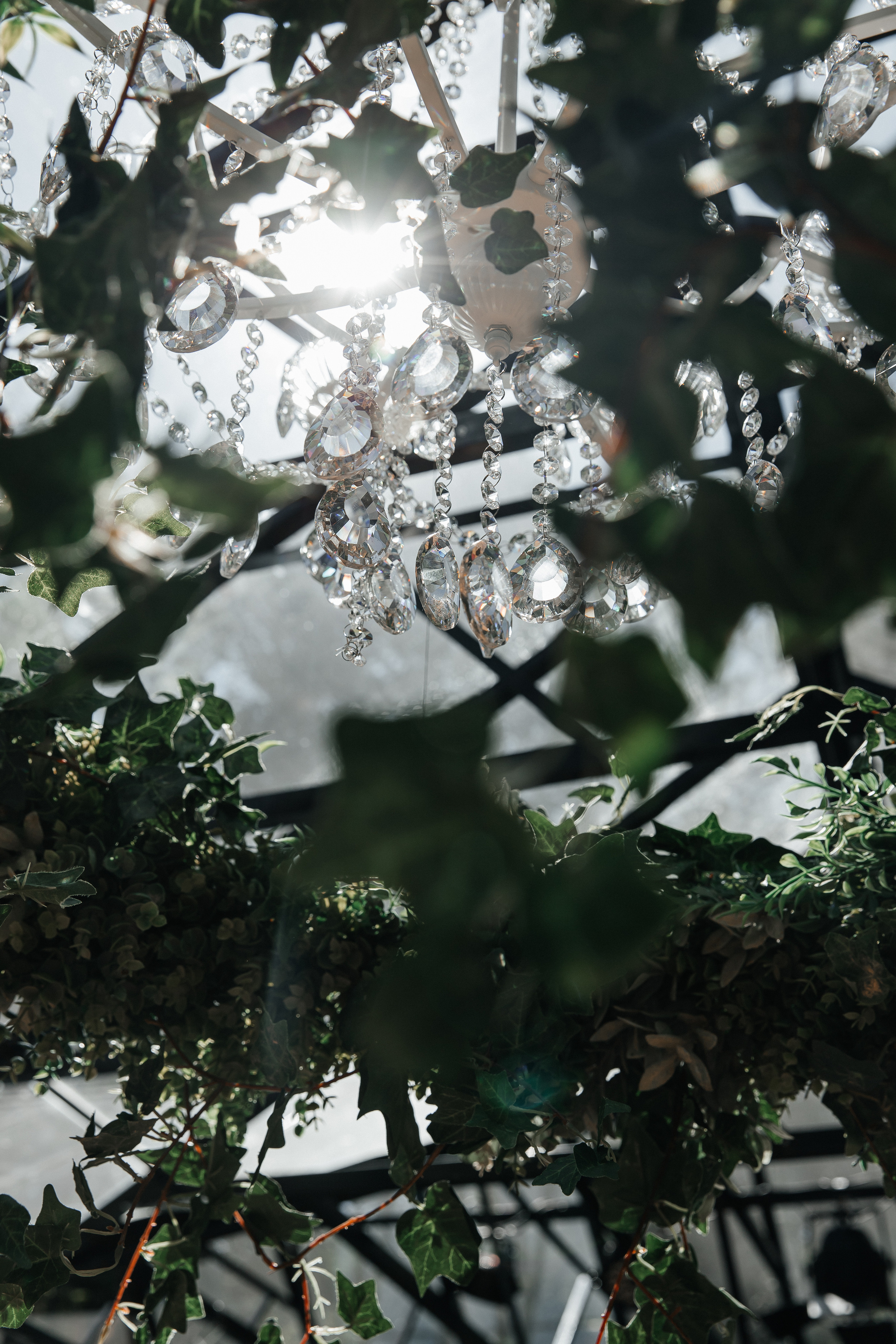 Свадьба в оранжерее