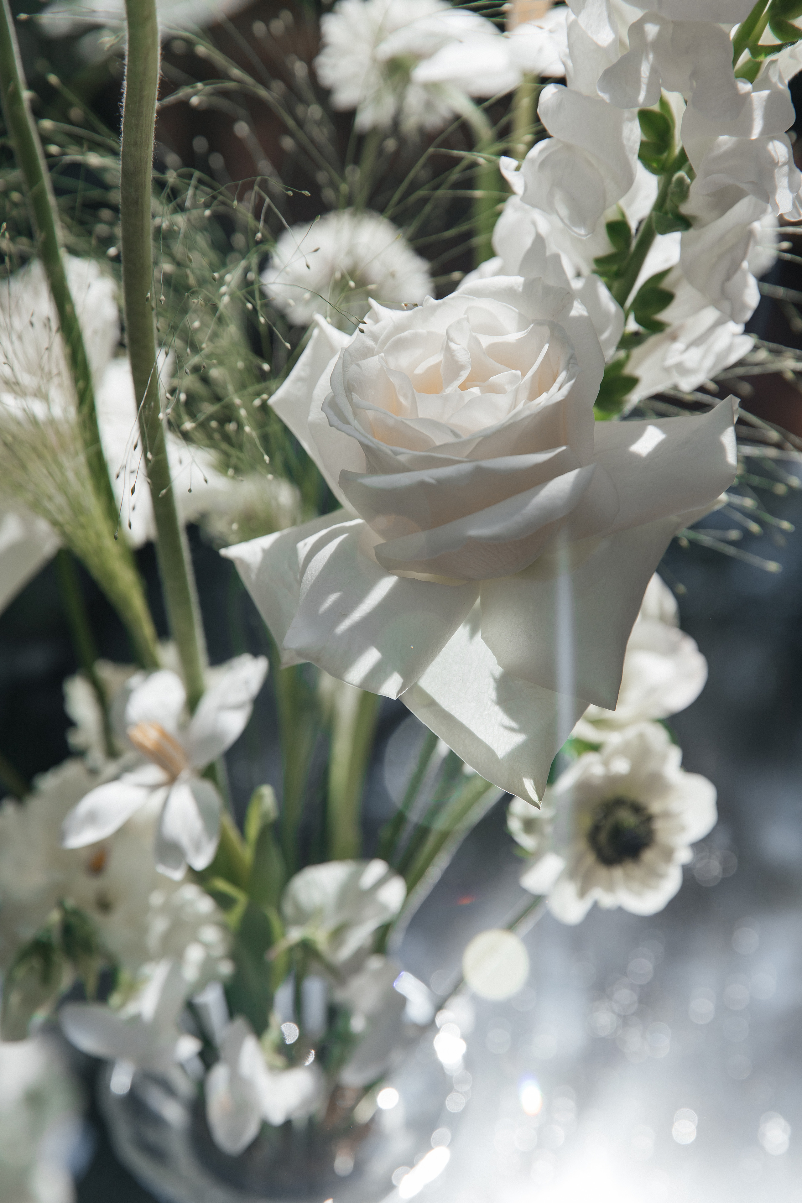 Свадьба в оранжерее