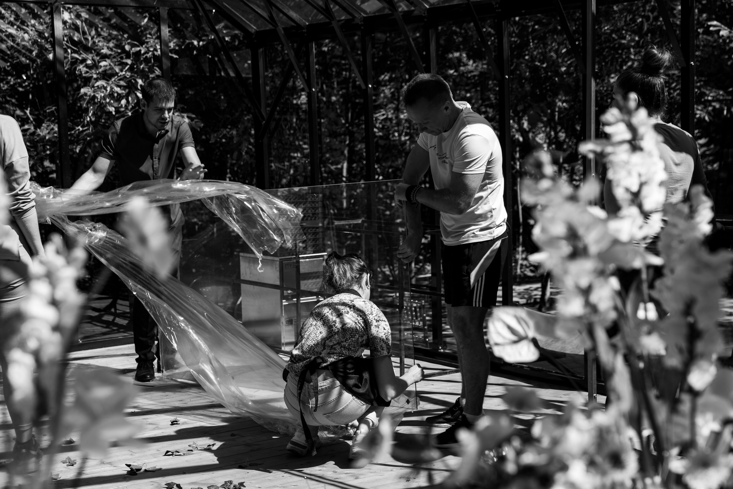 Свадьба в оранжерее