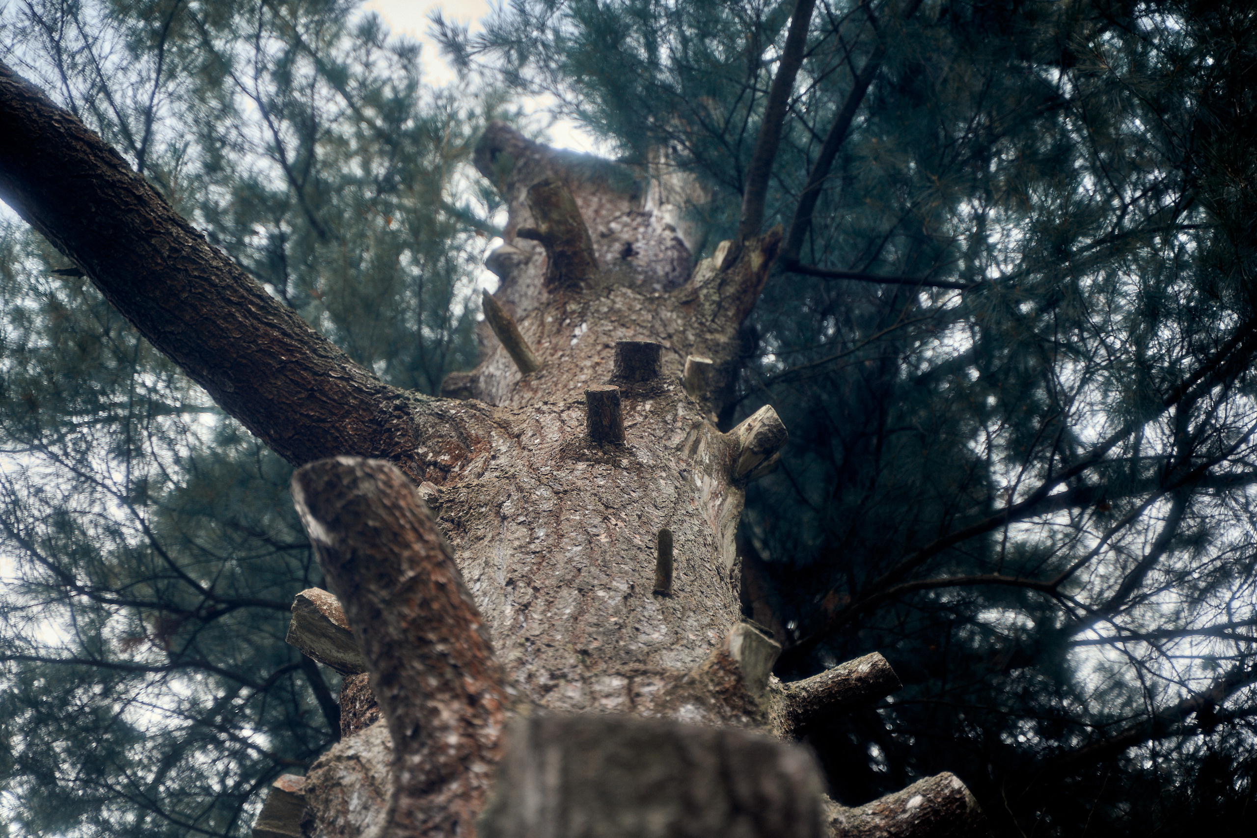 Усадьба Львова Знаменское Раек Торжок