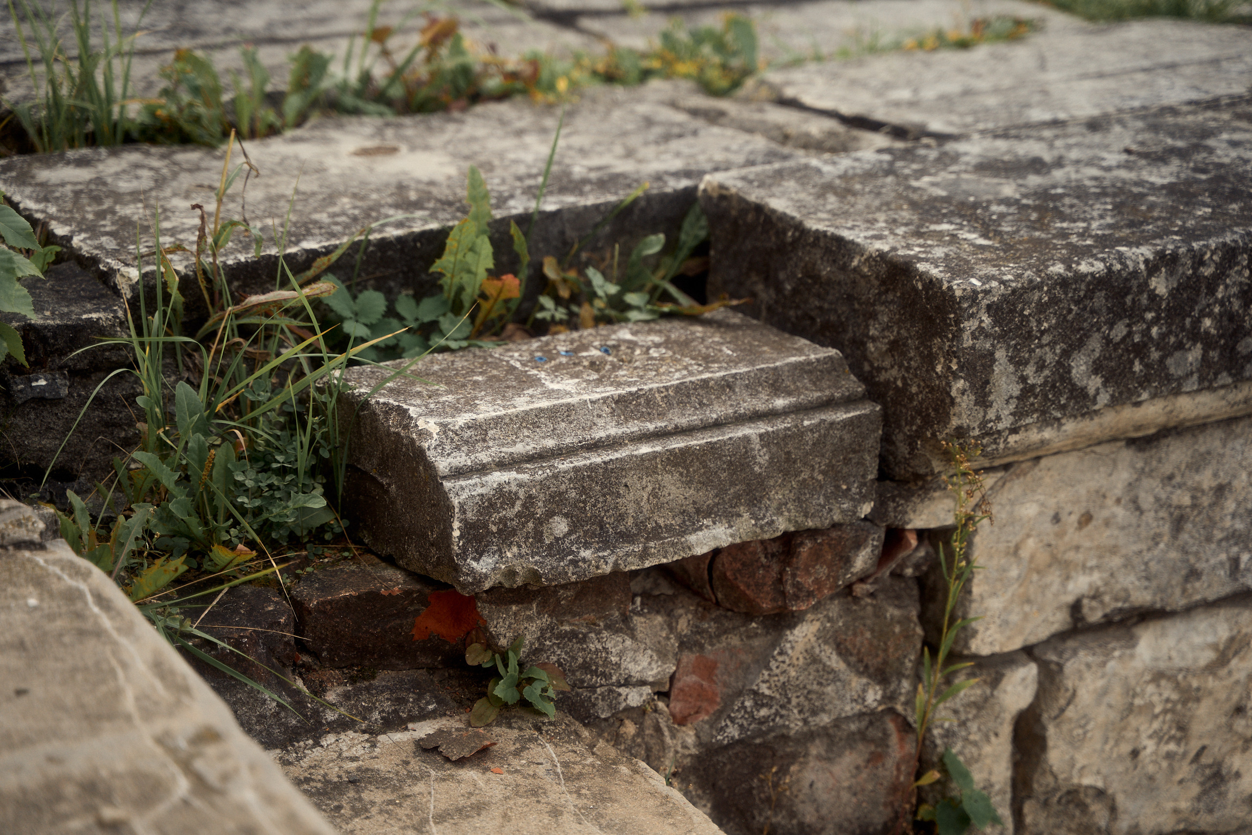 Усадьба Львова Знаменское Раек Торжок