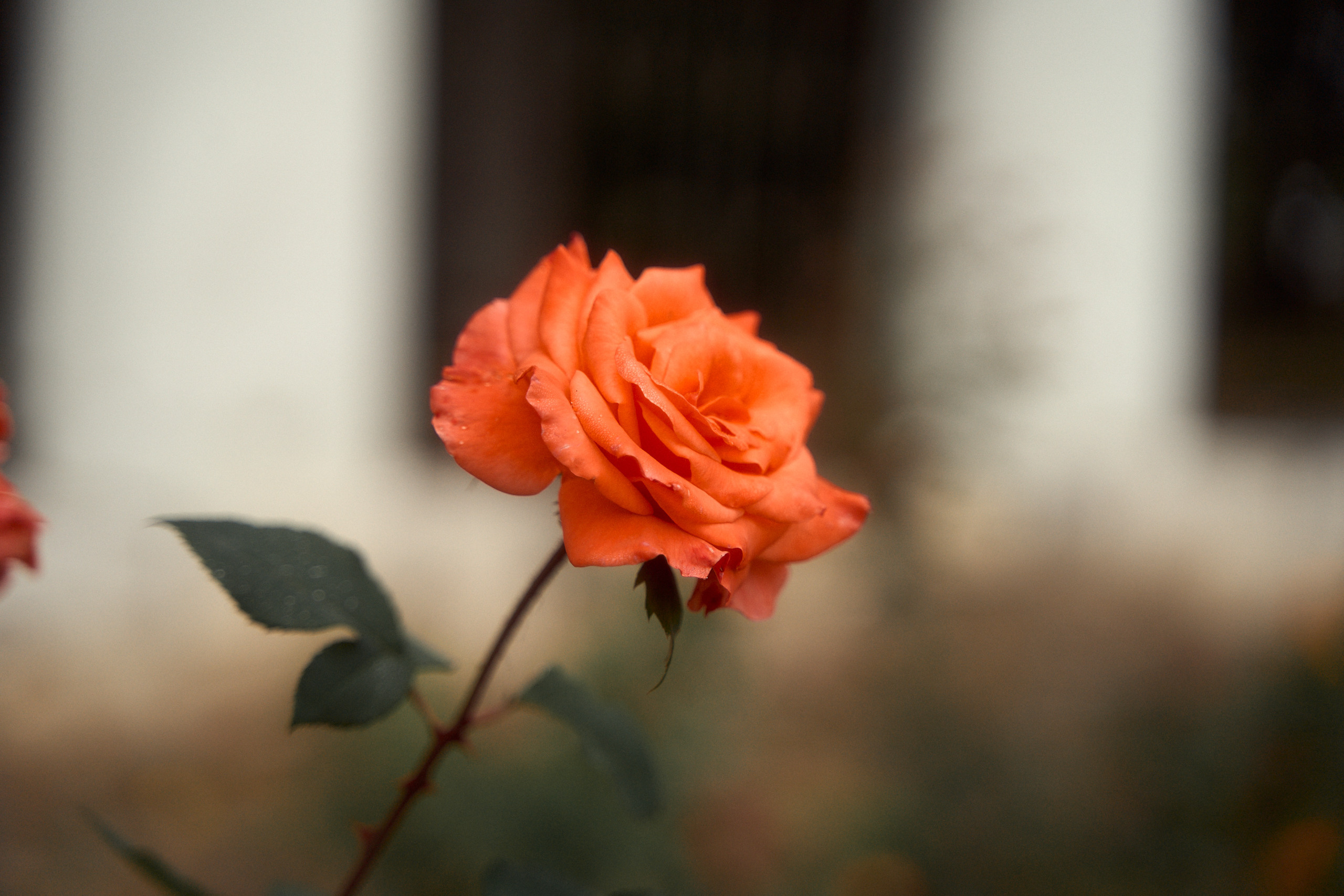 Усадьба Львова Знаменское Раек Торжок