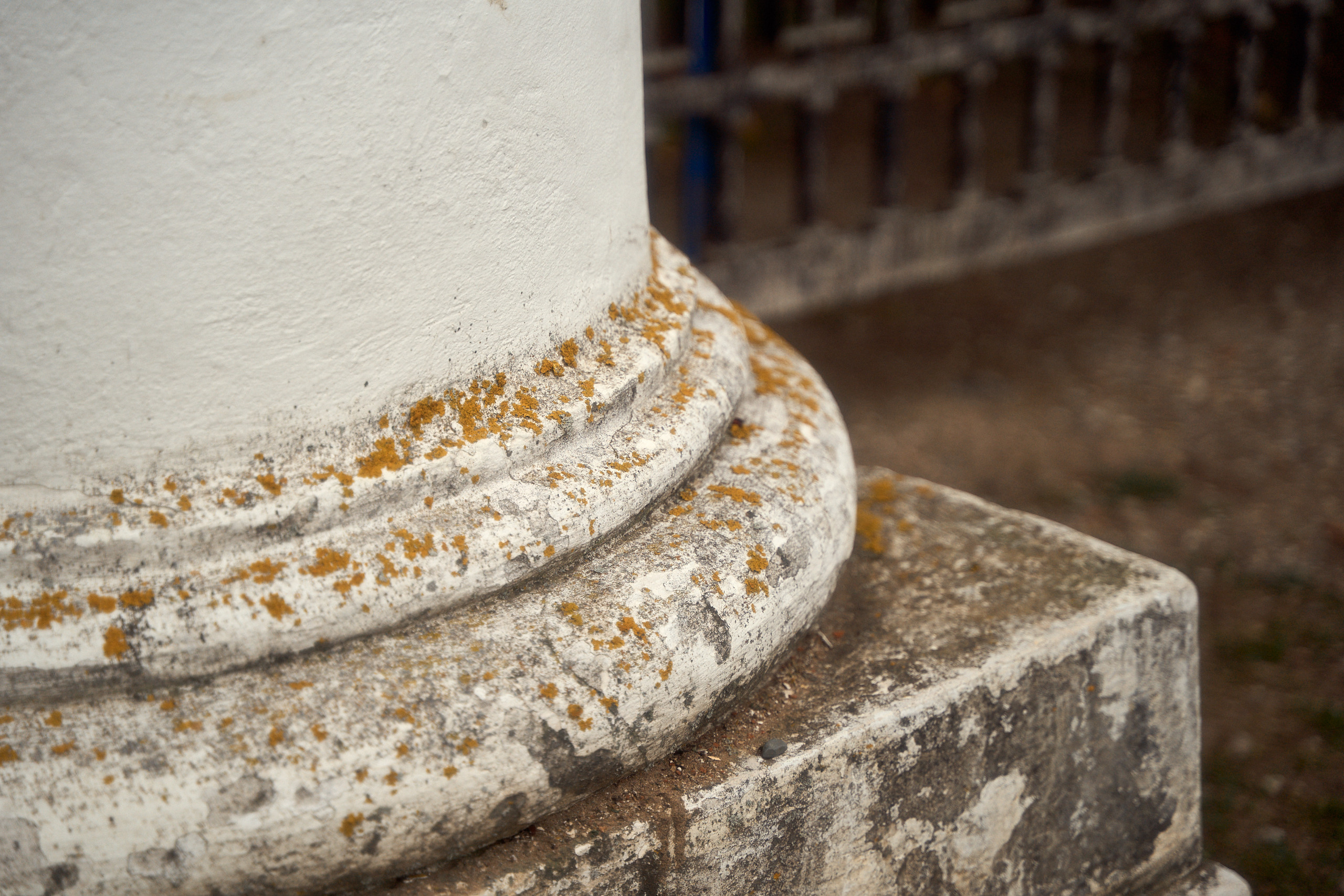 Усадьба Львова Знаменское Раек Торжок