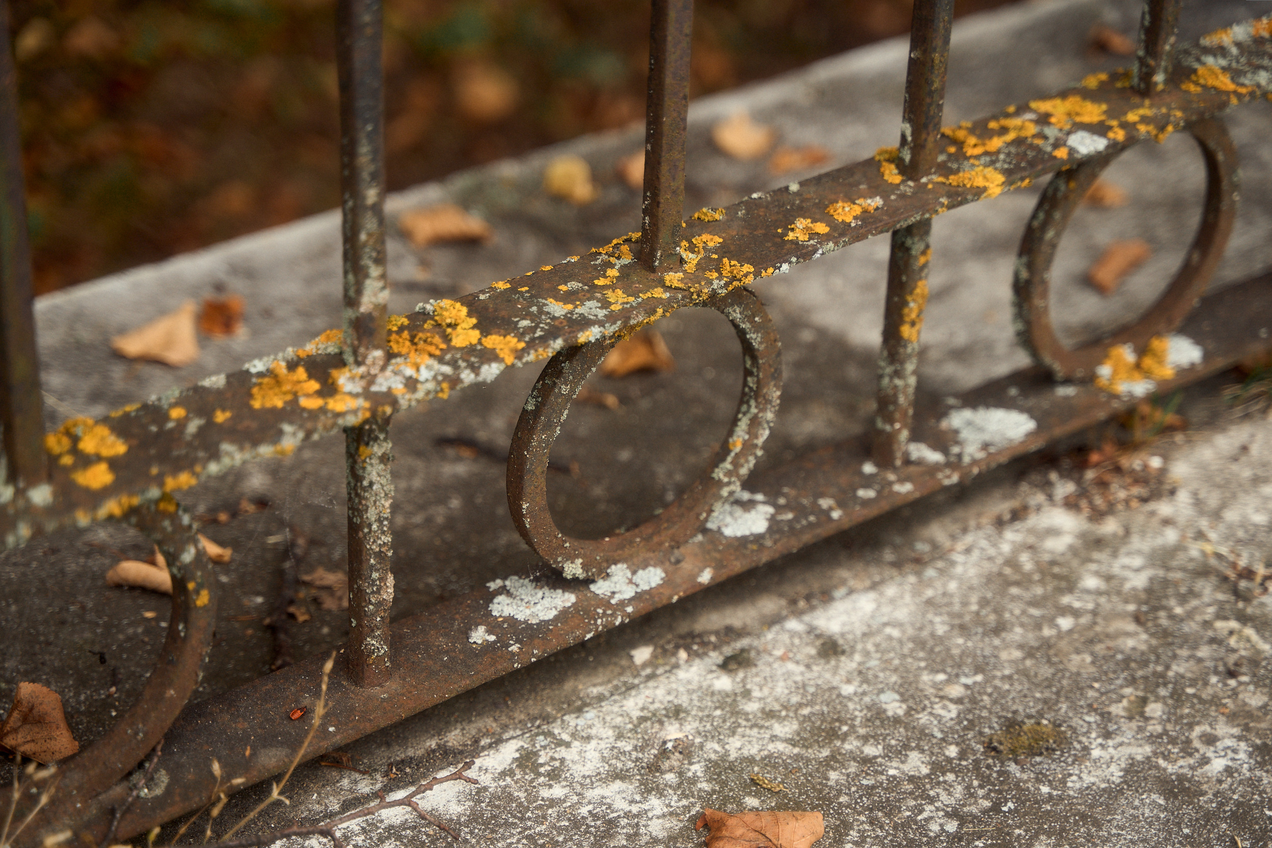 Усадьба Львова Знаменское Раек Торжок