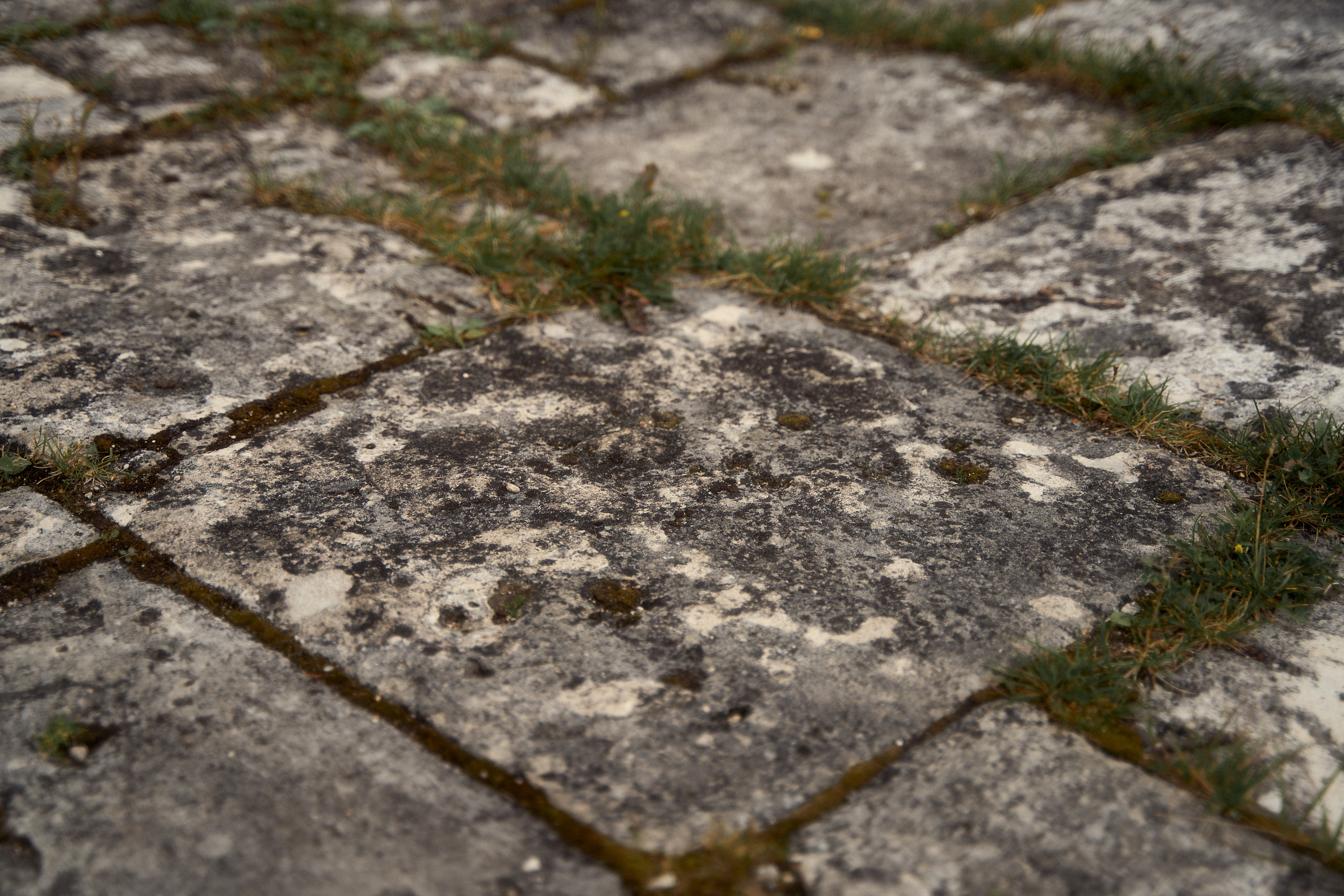 Усадьба Львова Знаменское Раек Торжок