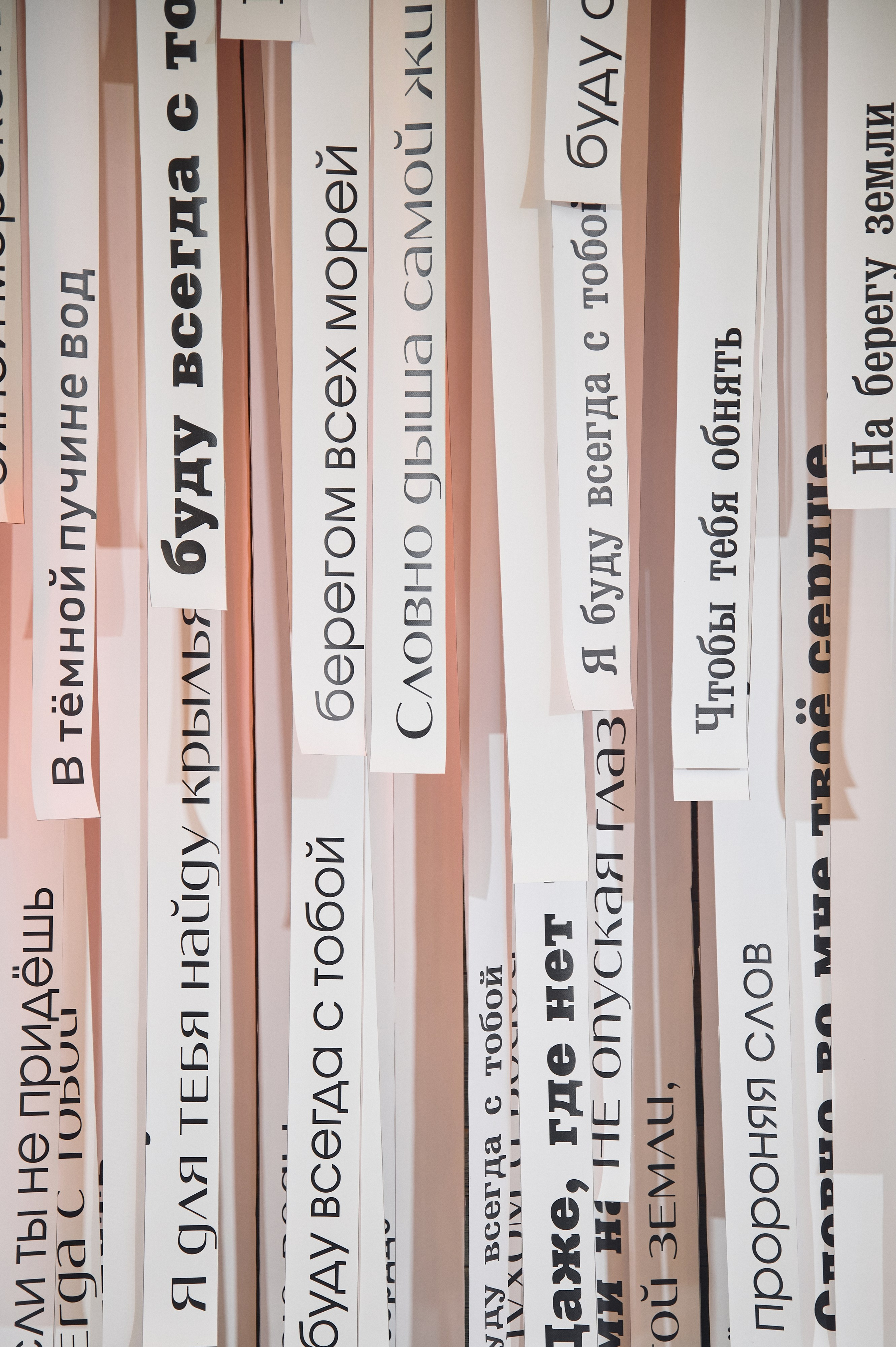 Репортаж. Не только свадебный фотограф Чеглаков Алексей