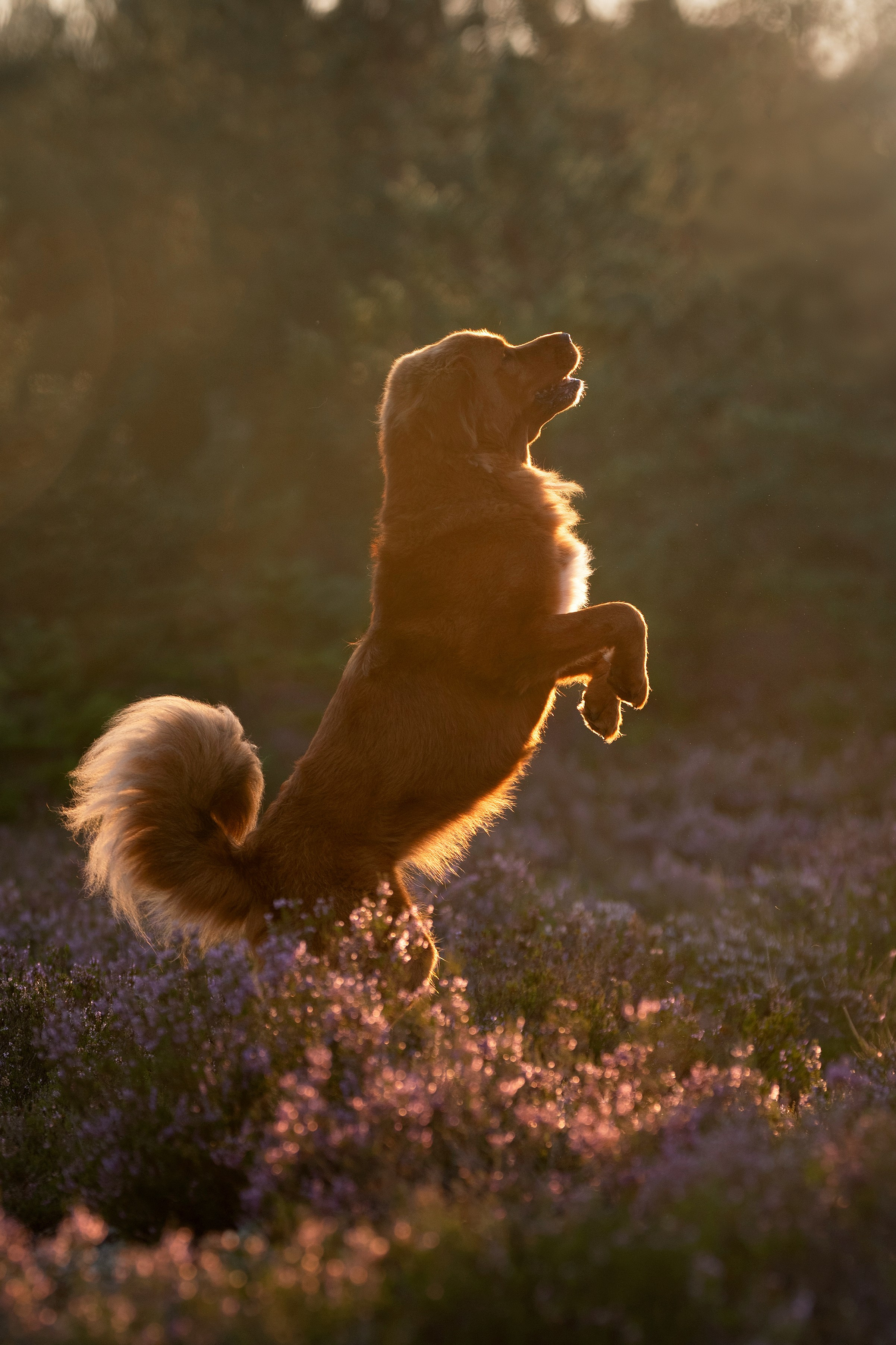 Мои Злата и Фред. -