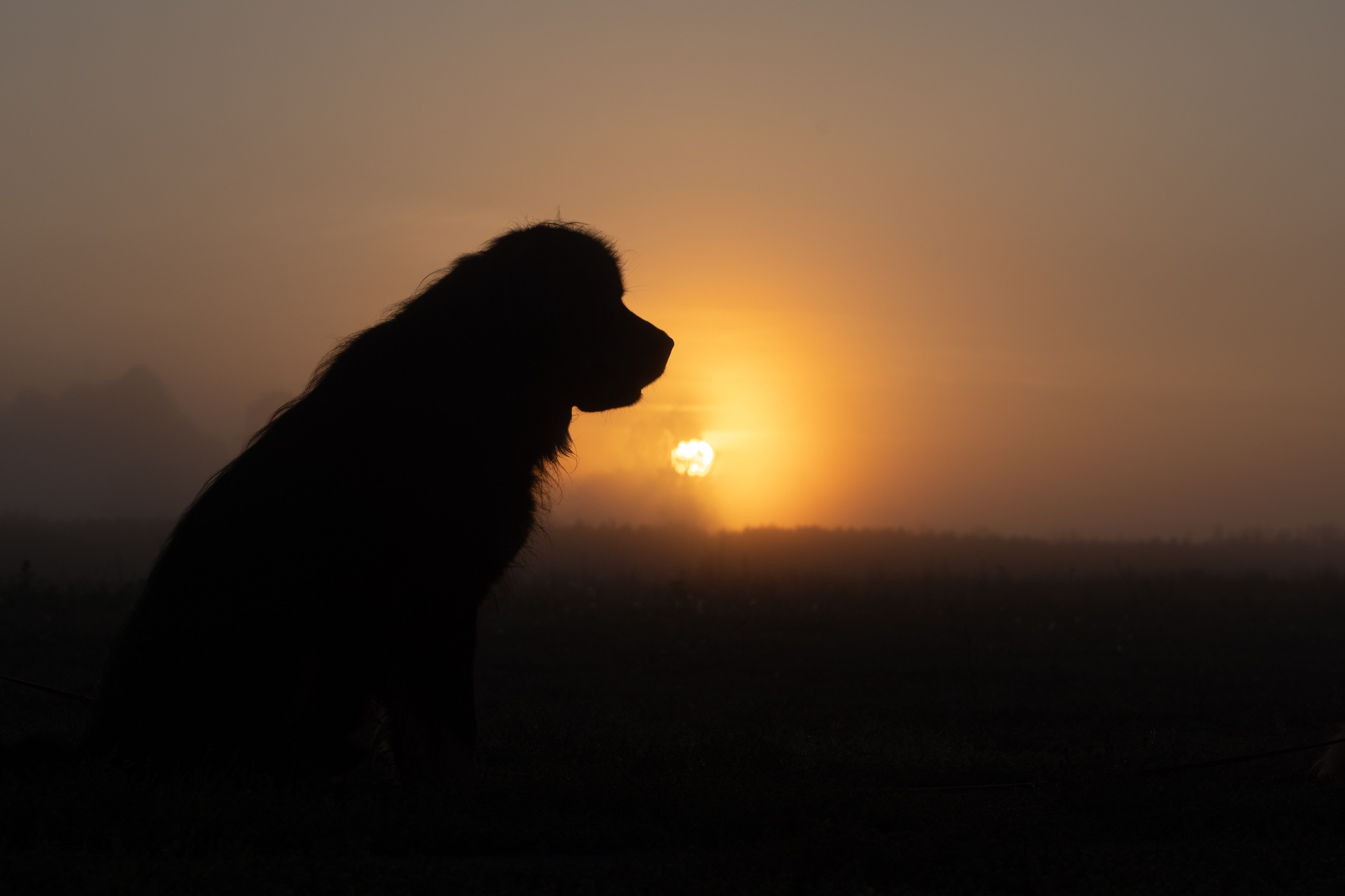 Мои Злата и Фред. -