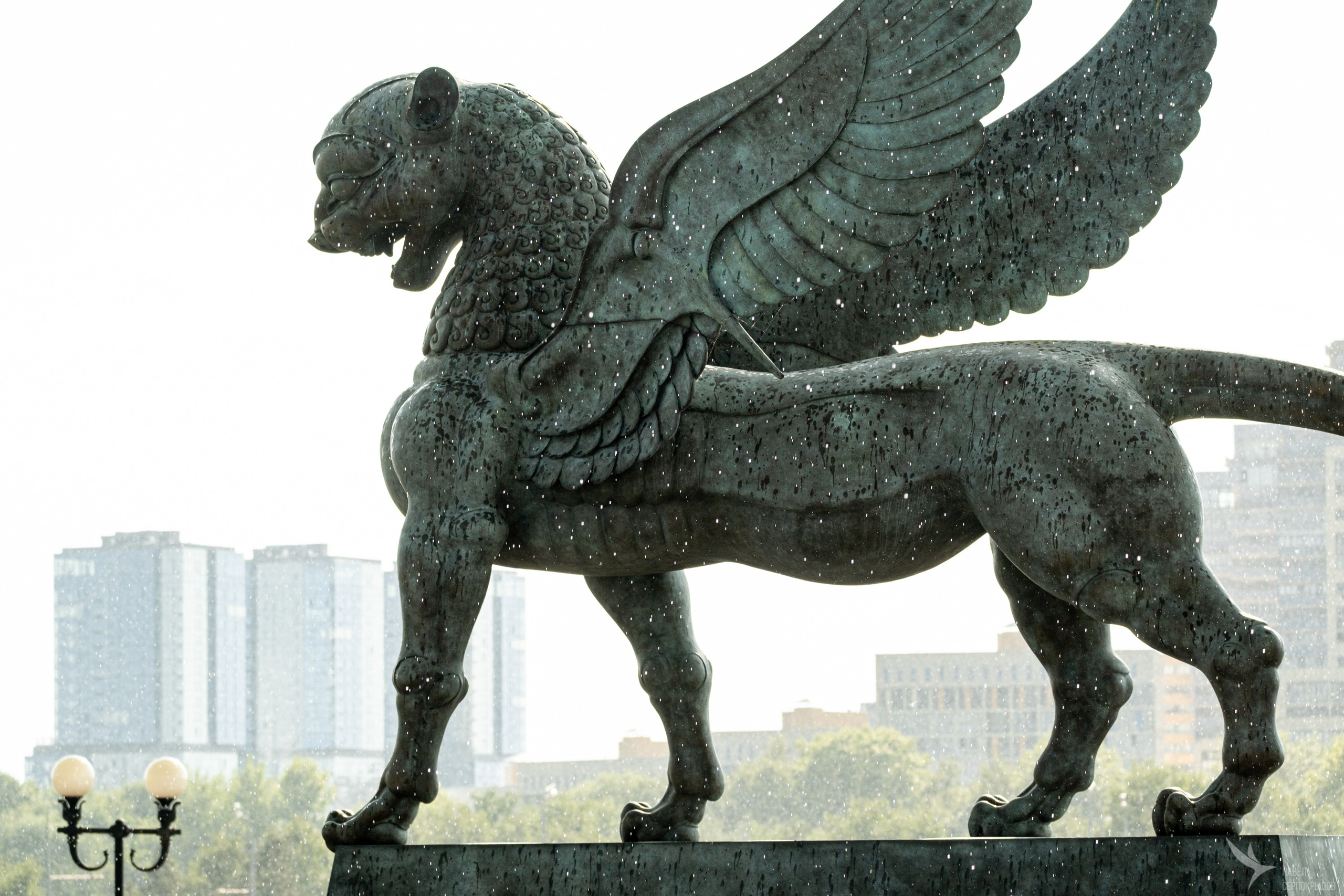 Я выбираю небо. Репортажный фотограф в Казани Павел Серпокрылов