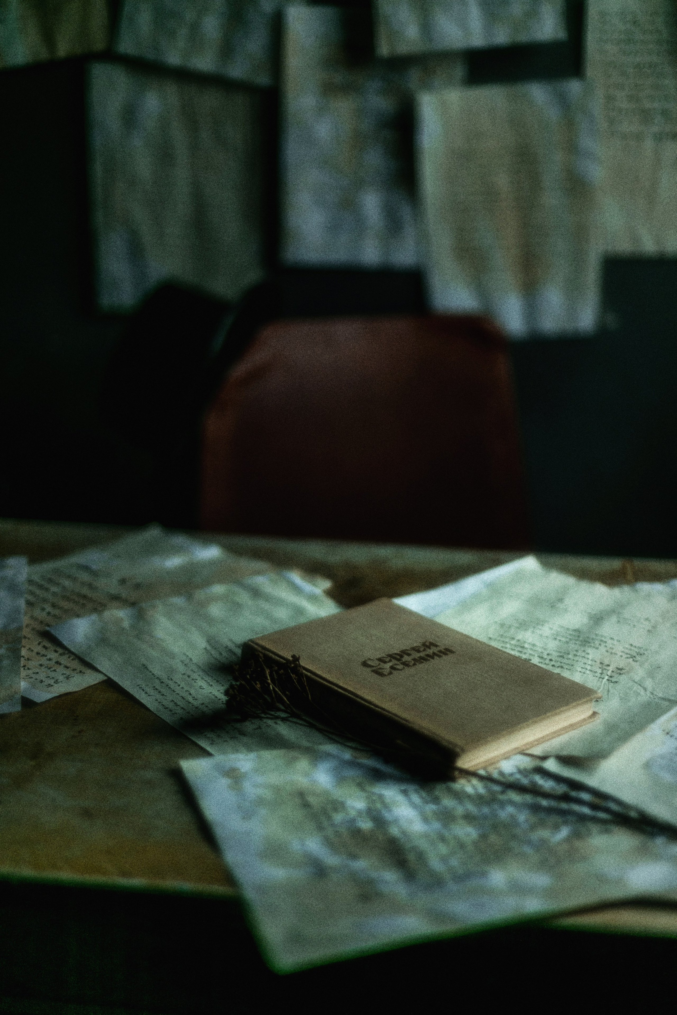 Душа поэта. Фотограф детей и подростков в Москве Таня Королева