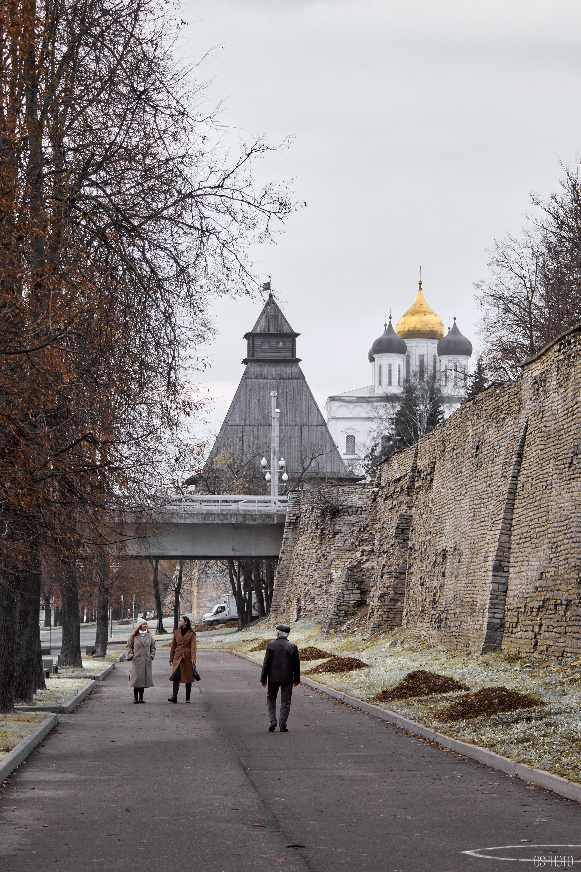Псков. Ноябрь. Фотографъ Сергѣевъ. Поймать мгновеніе