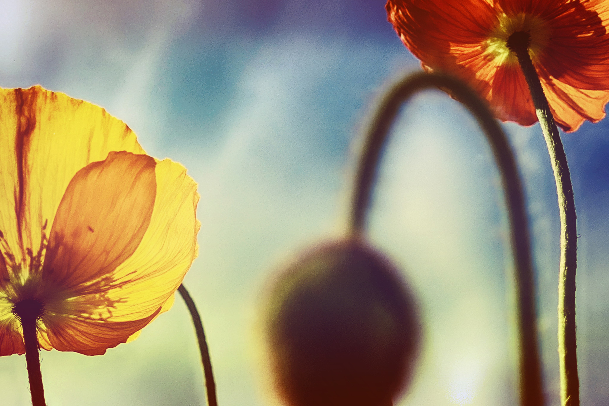 Фотошкола и фотокурсы в Абакане