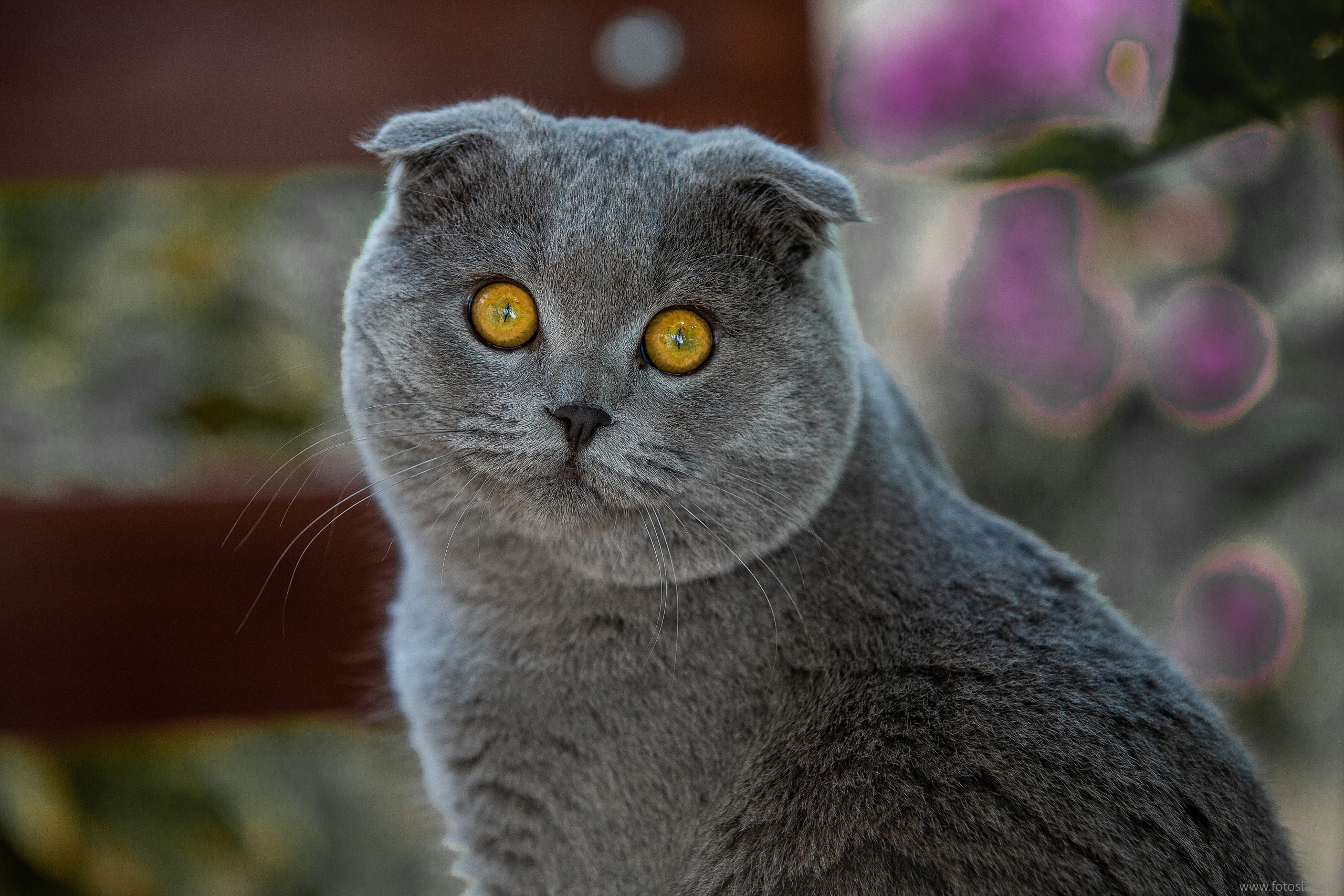 Анонс свадебной фотосессии Ильи и Яны. Свадебный фотограф в Барановичах Вячеслав Шах-Гусейнов, фотошкола