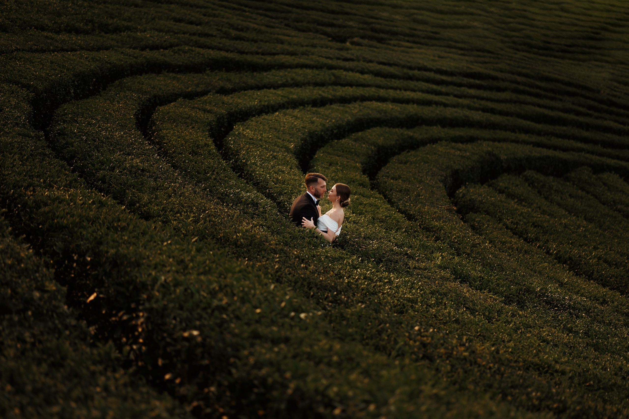 Свадебный фотограф в Сочи. Свадебная фотосессия. Свадебный и семейный фотограф в Сочи Денис Вялов