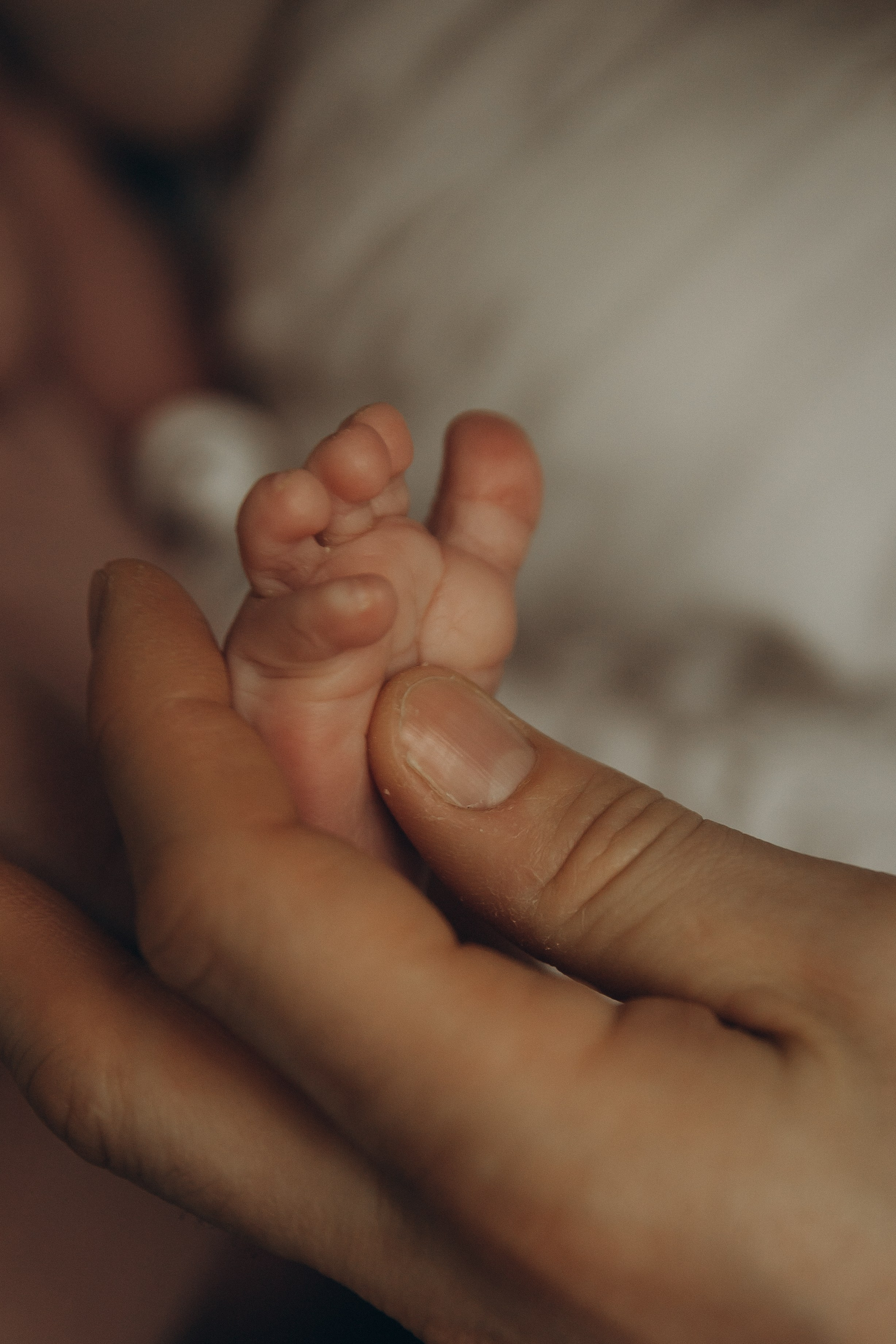 Семейный фотограф в Москве и Королеве Евгения Баукова