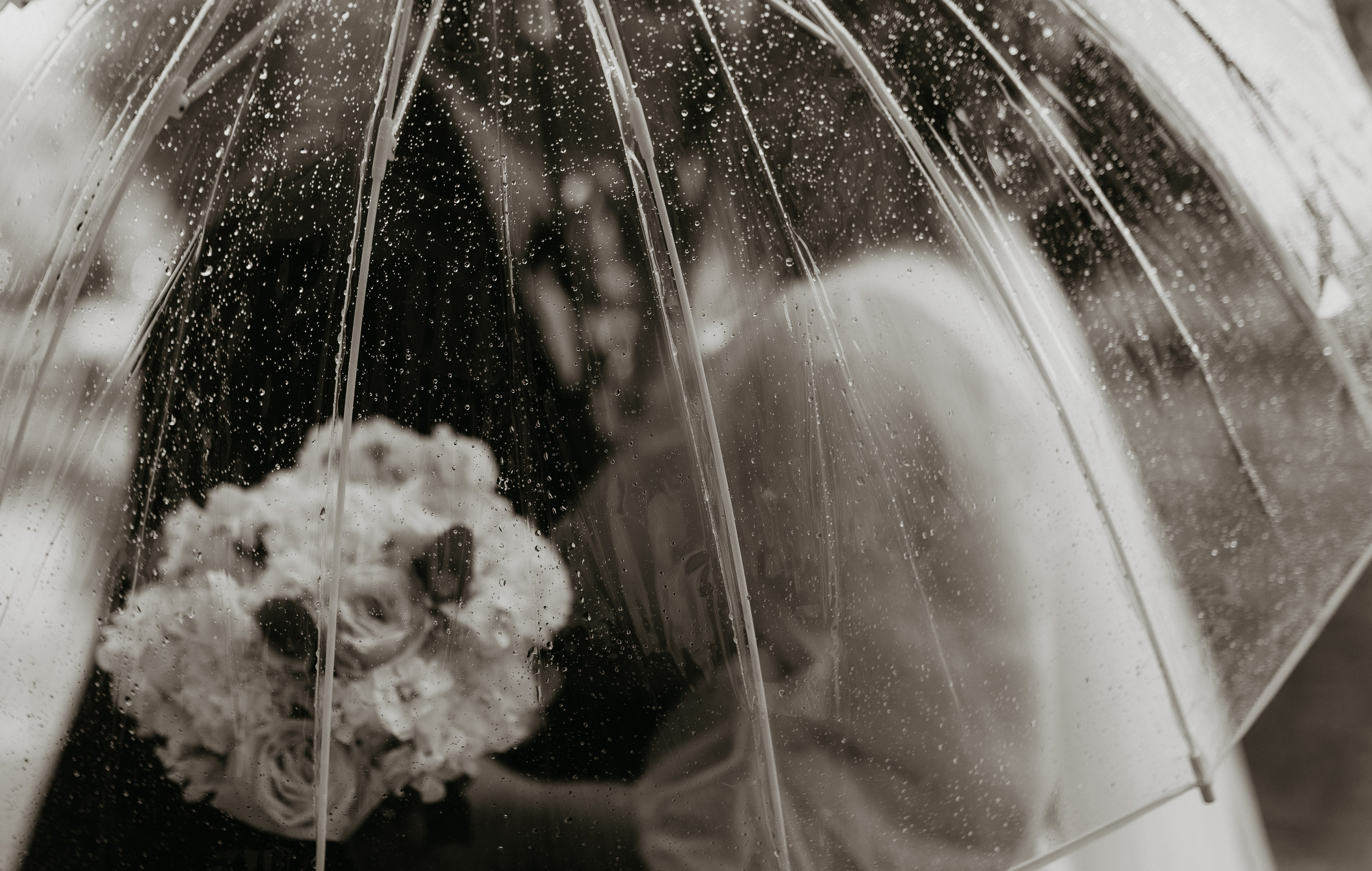 Алена Бадамшина — свадебный фотограф Воронеж / Москва